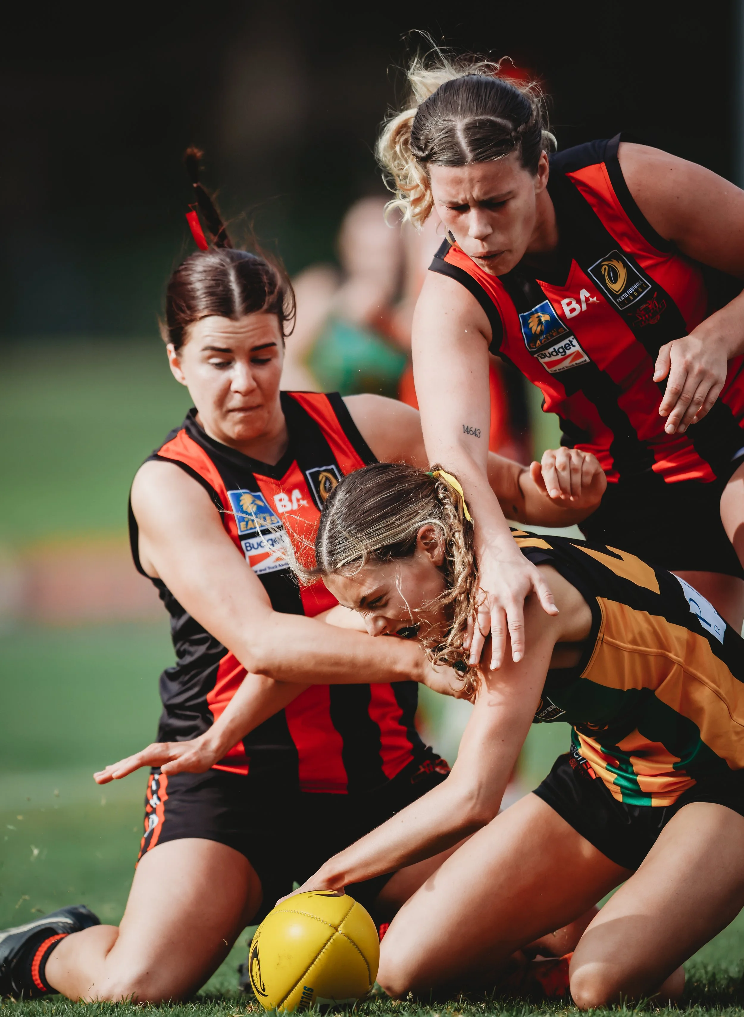 GFscarboroughxbullcreek_sidelinestills-288.jpg