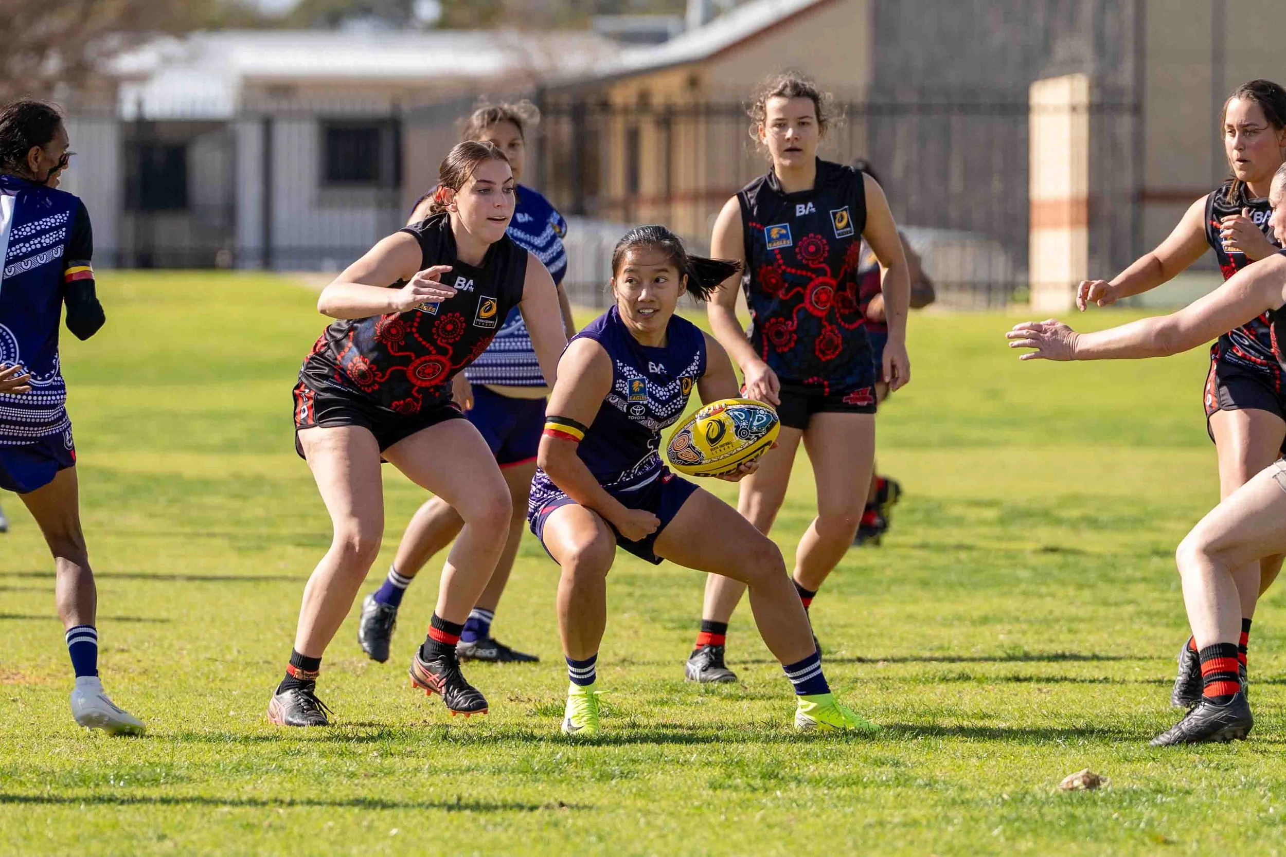 _DSC0512.jpg