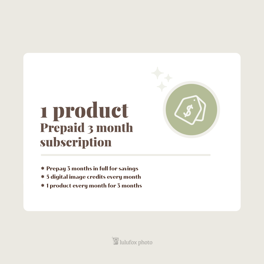 1 Product - Prepaid 3 Month Subscription JANUARY 2025