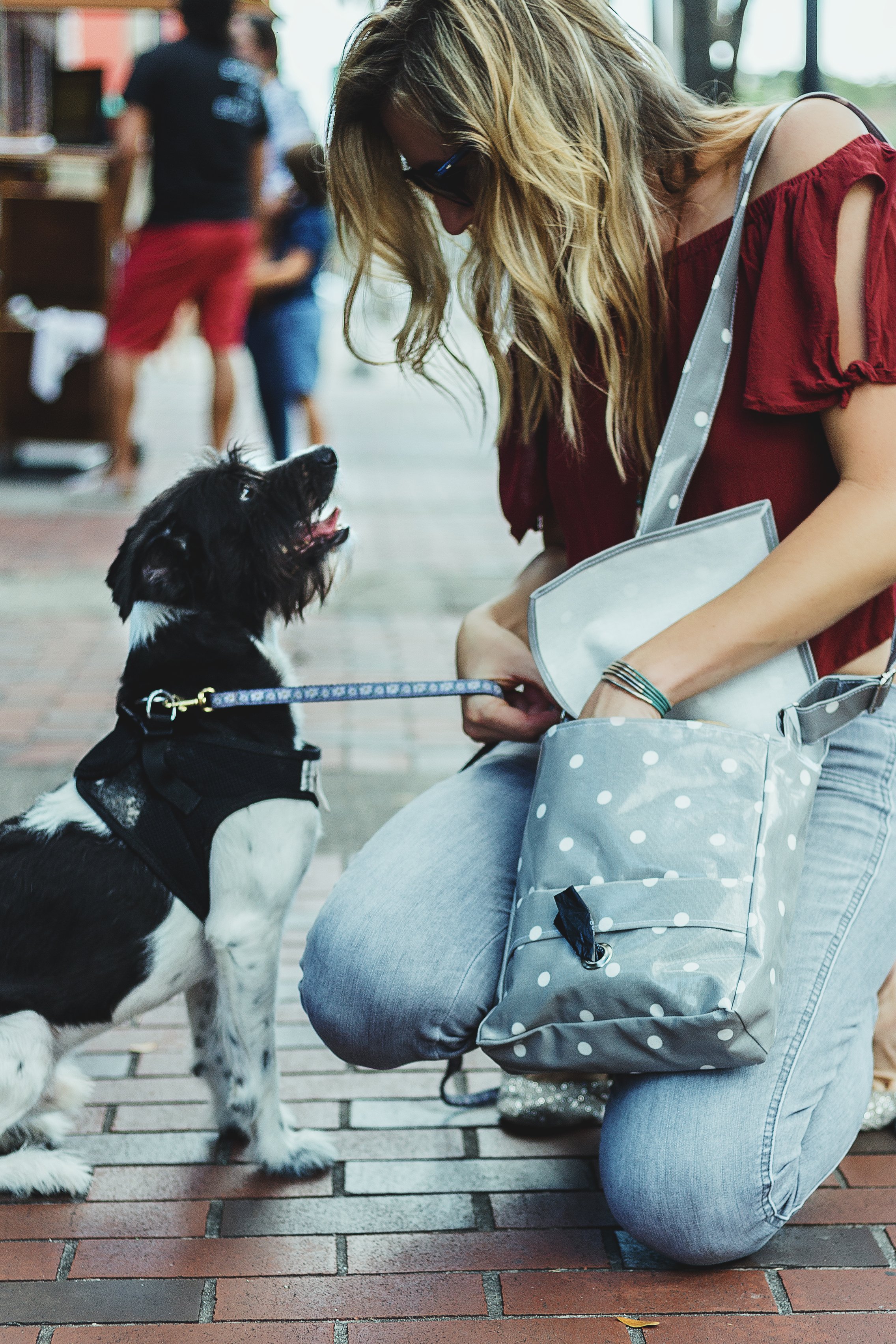 Woman and dog model with dog accessory bag