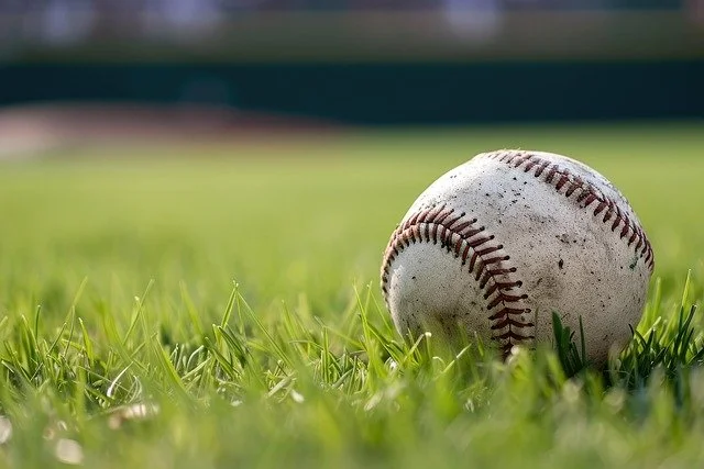 Can Baseball Save Us?