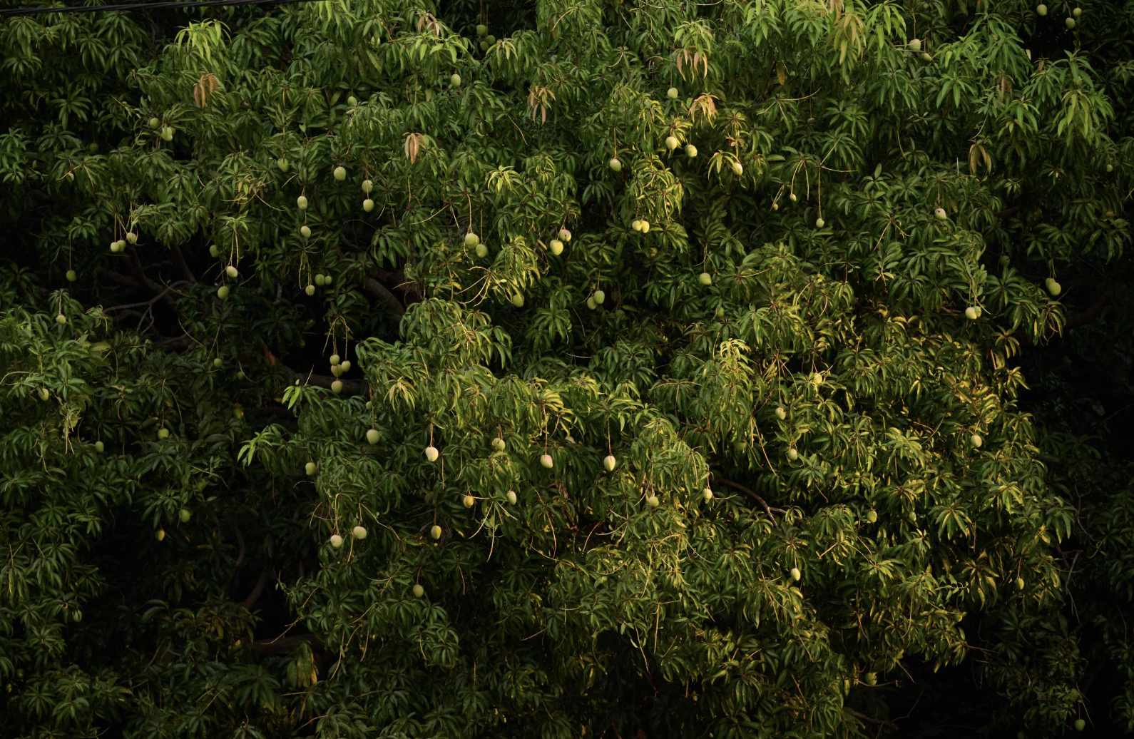 Screenshot 2024-09-26 at 2.40.57 pm.png