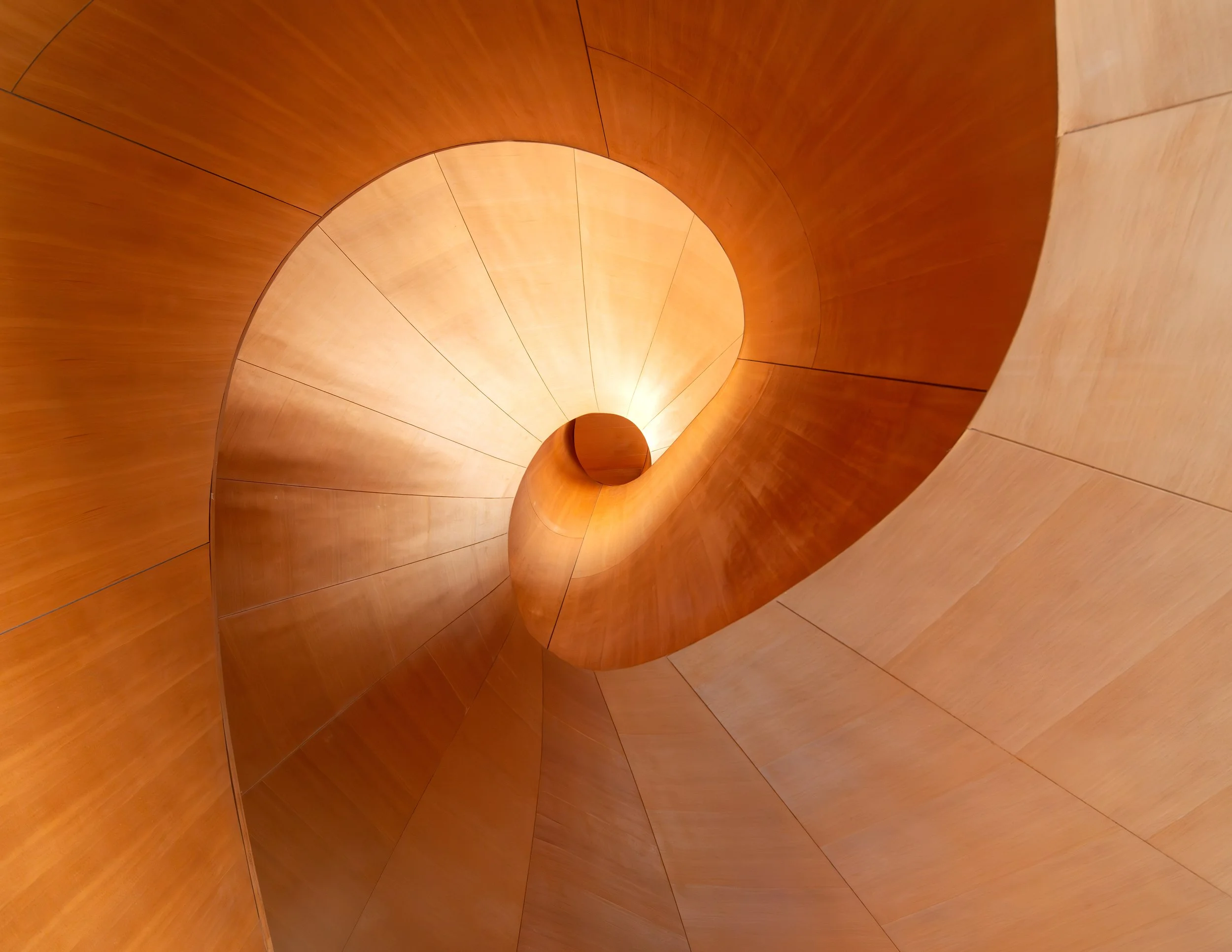 Frank Gahrey+AGO-8.jpg