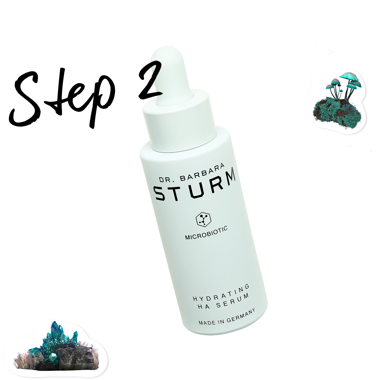 sturm 2.png