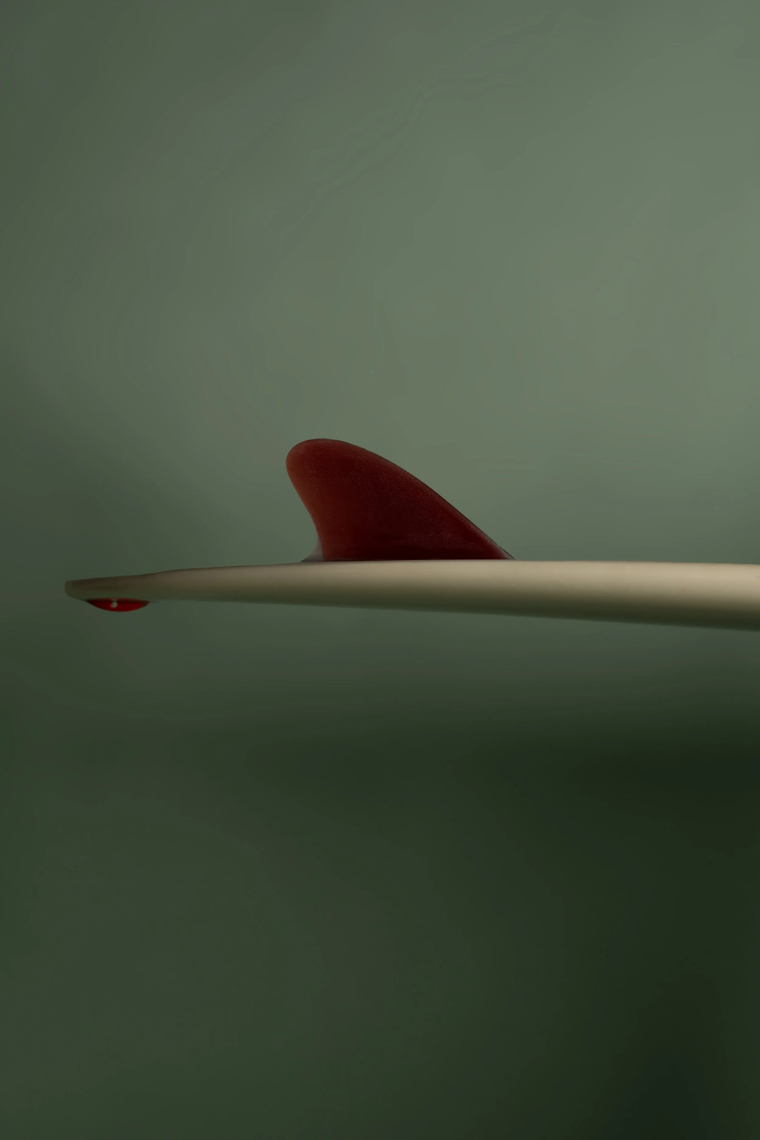 Venice Lodge x Buttery Studio