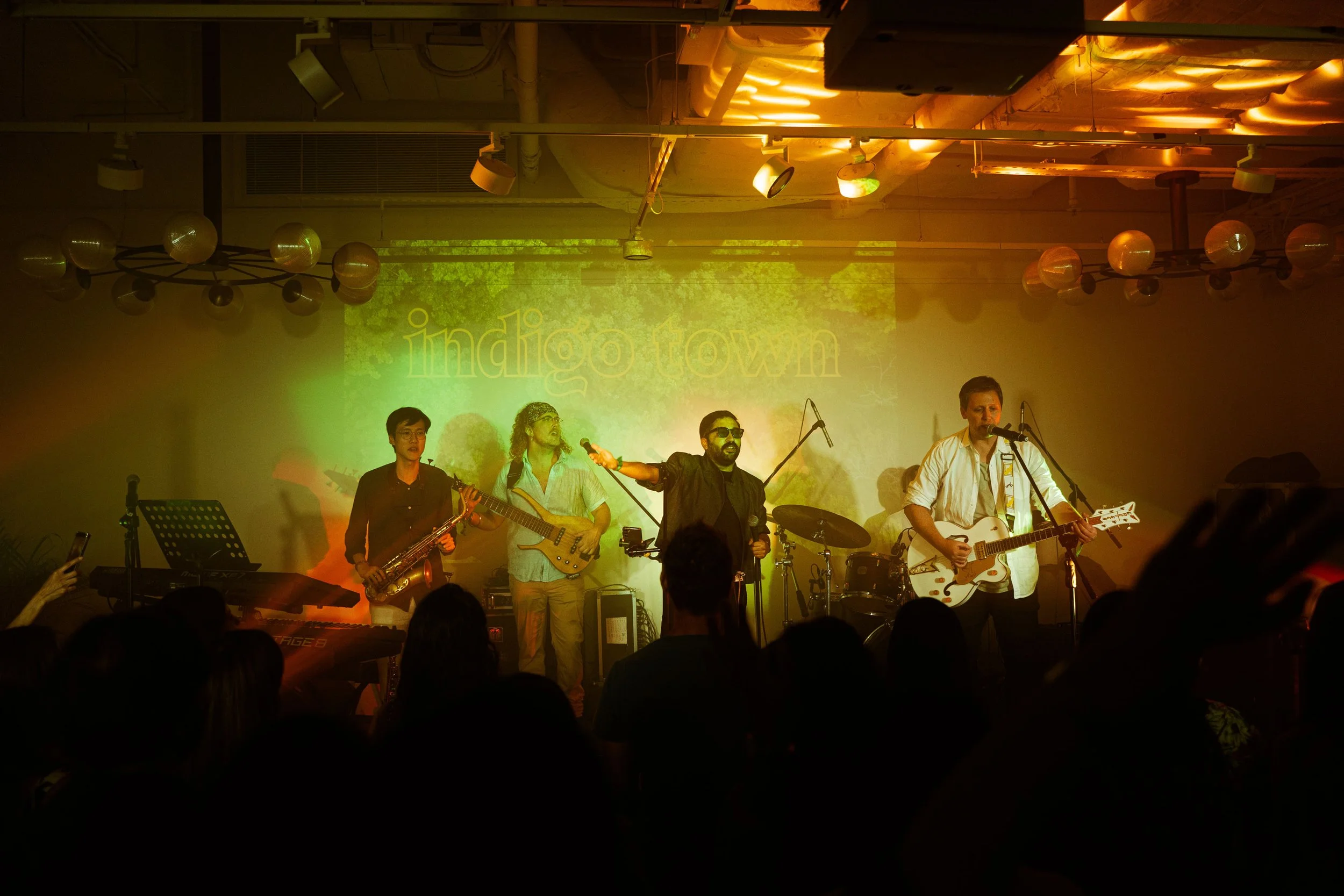 Indigo Town Live at Indigo Fest