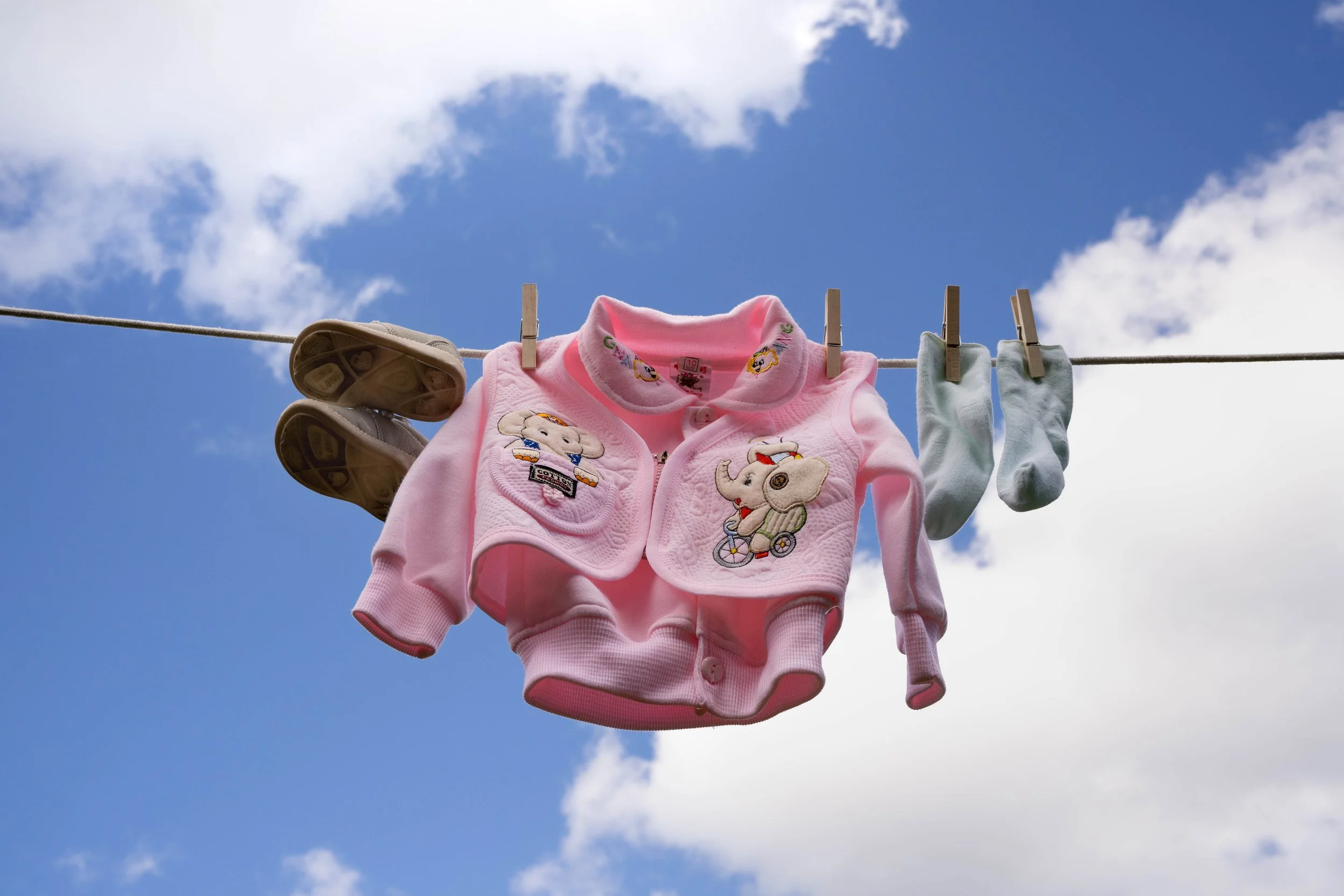 莉倩 Lì Qiàn, 2024