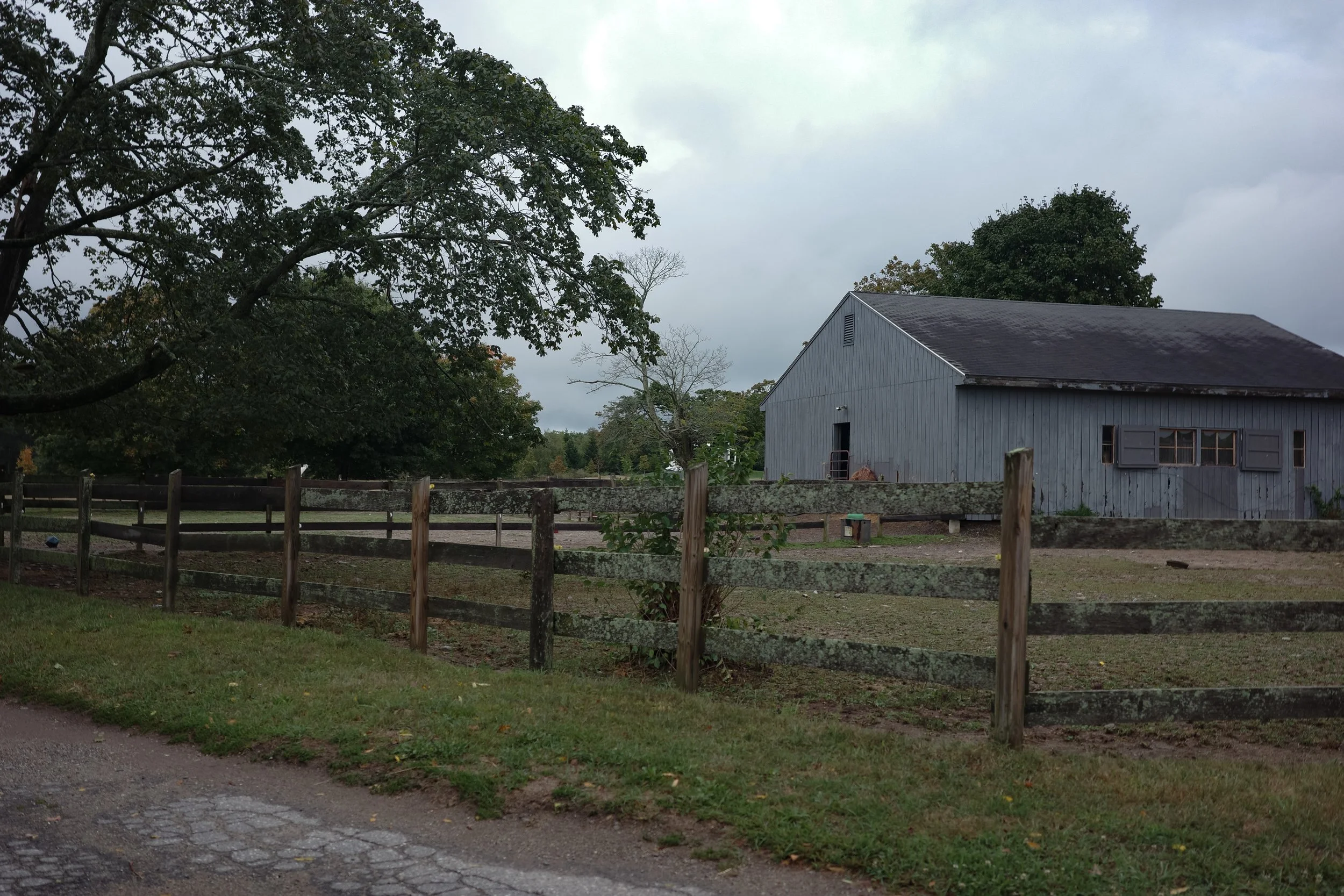 R0001006.jpg