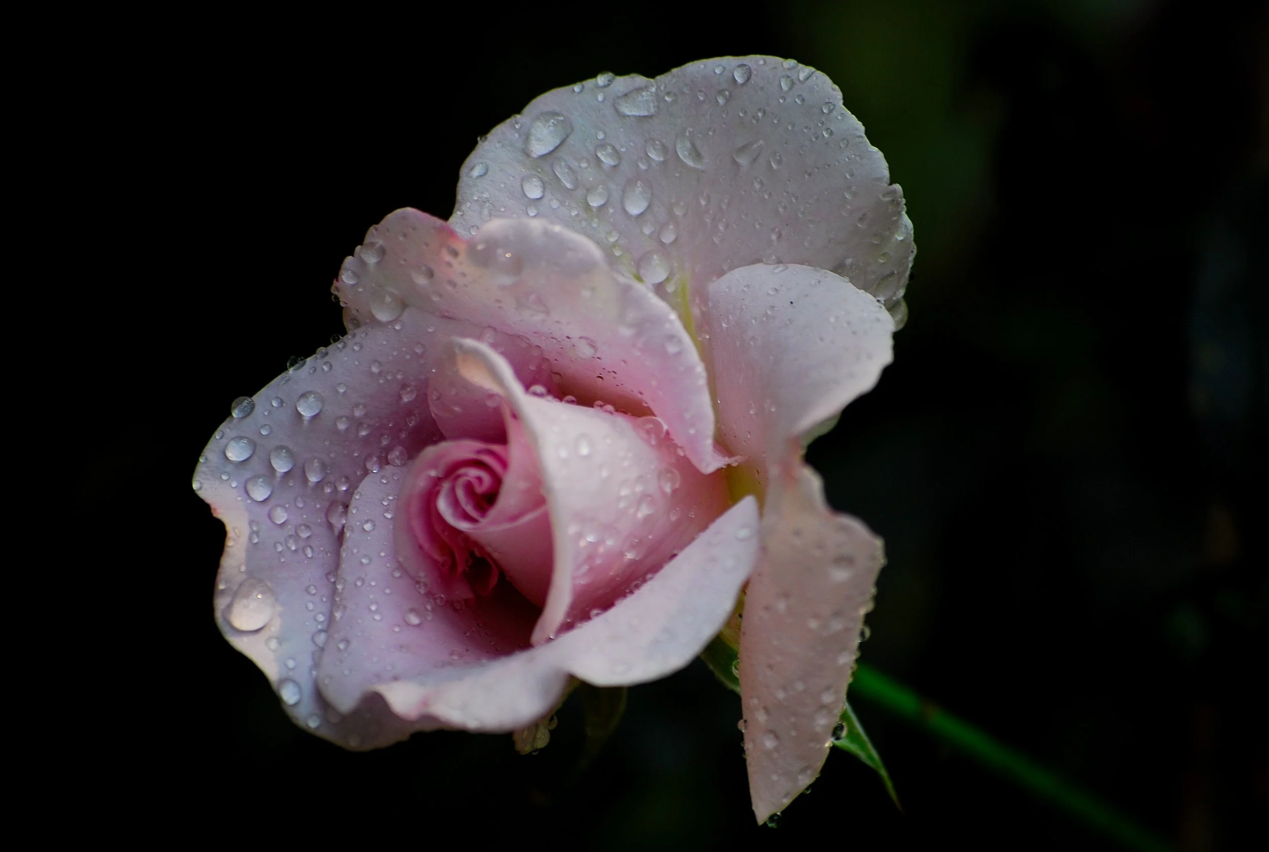 DSC_0012.JPG