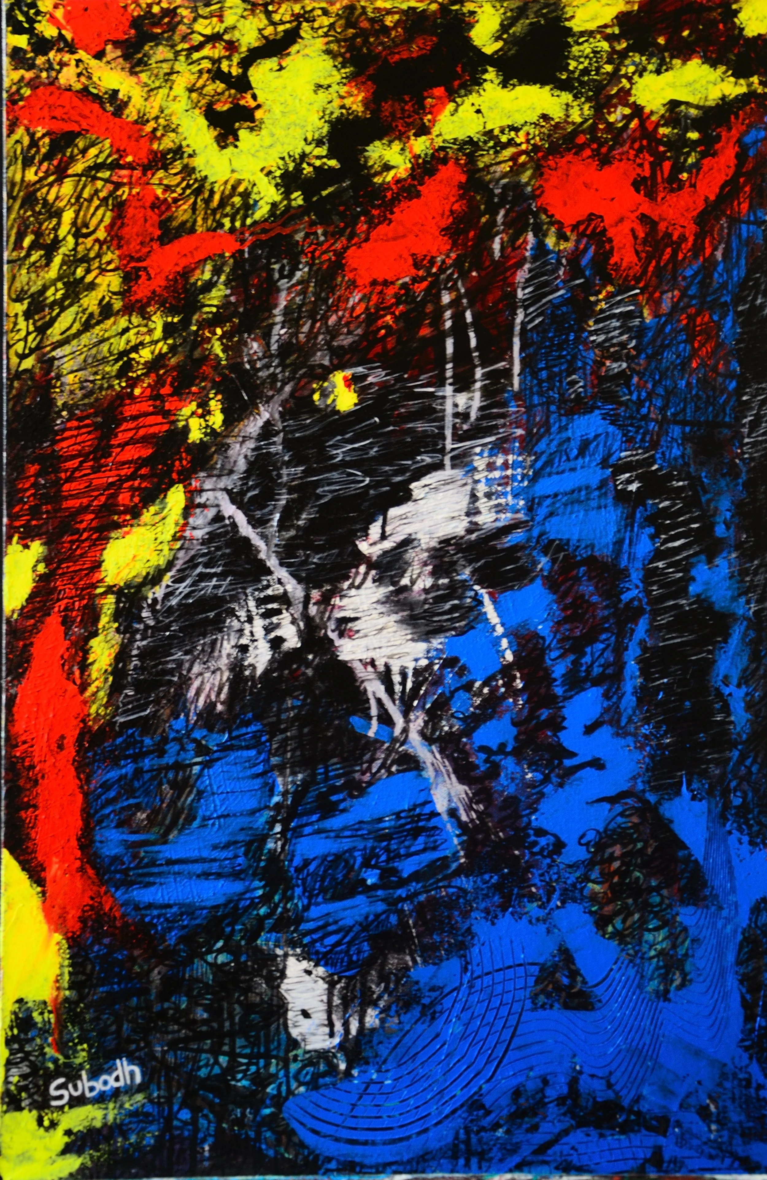 nirvana
acrylic on stretched canvas
20/30 inches