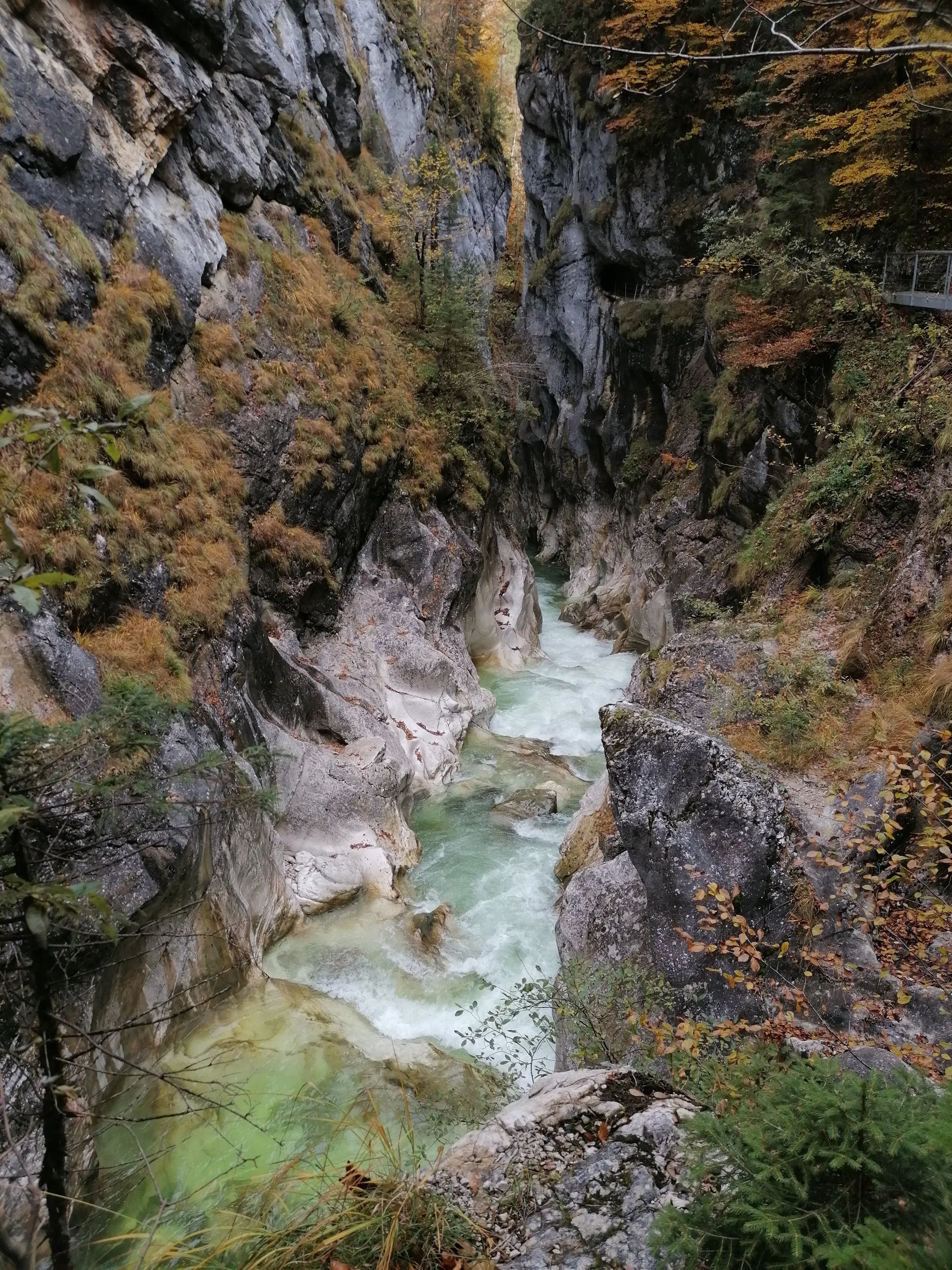 IMG_20201022_135446.jpg