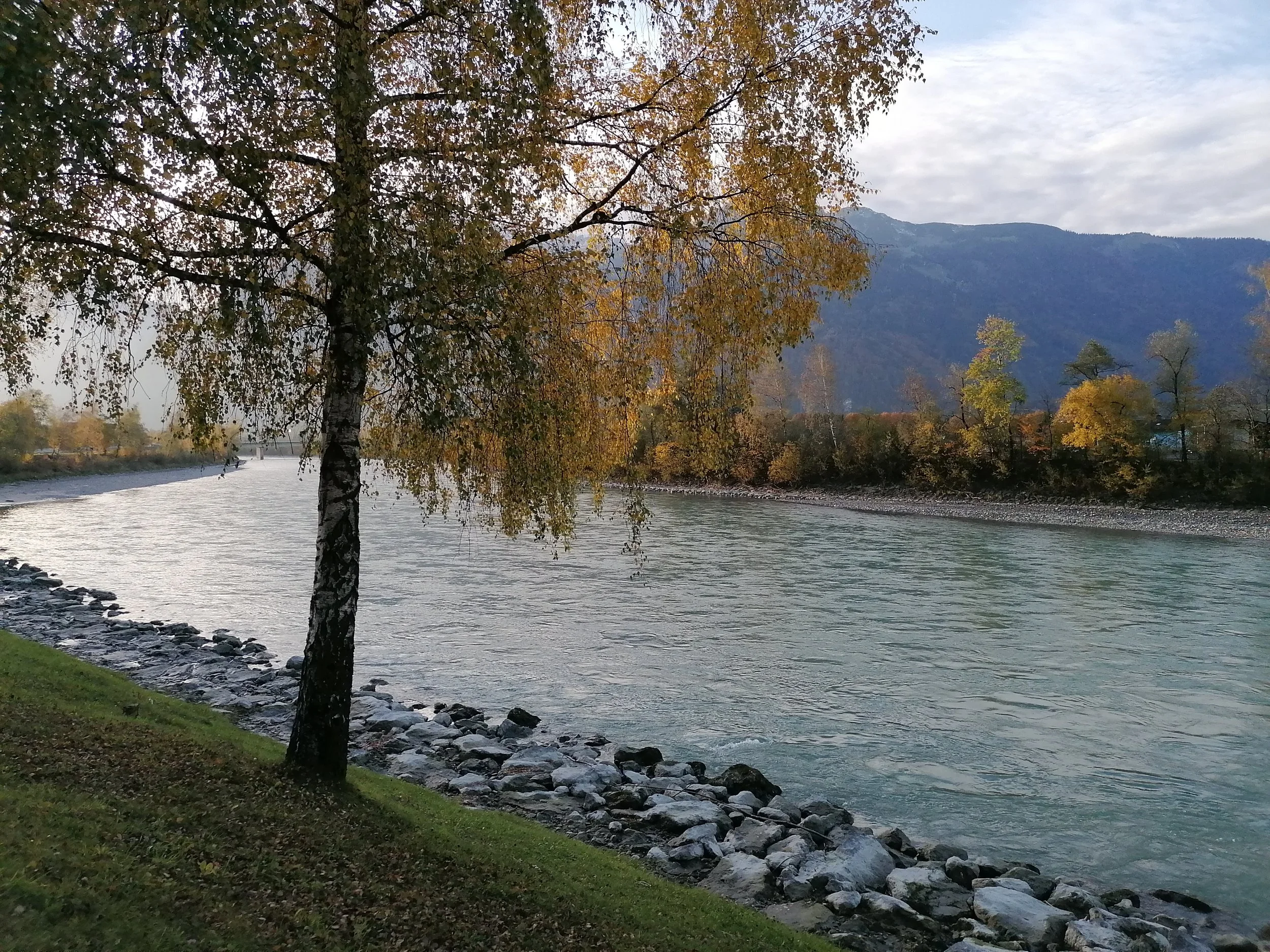 IMG_20201022_171643.jpg