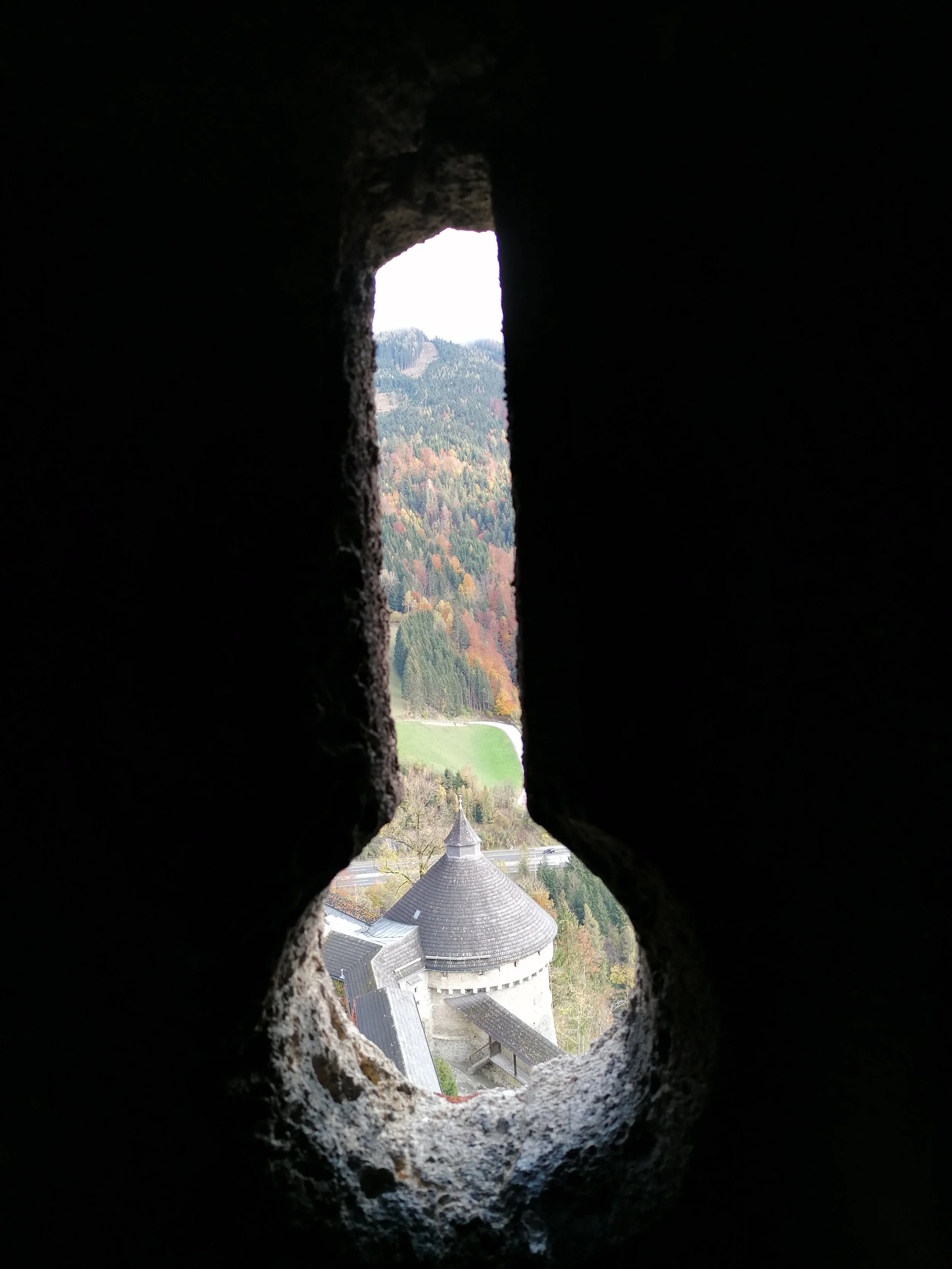 IMG_20201025_113740.jpg