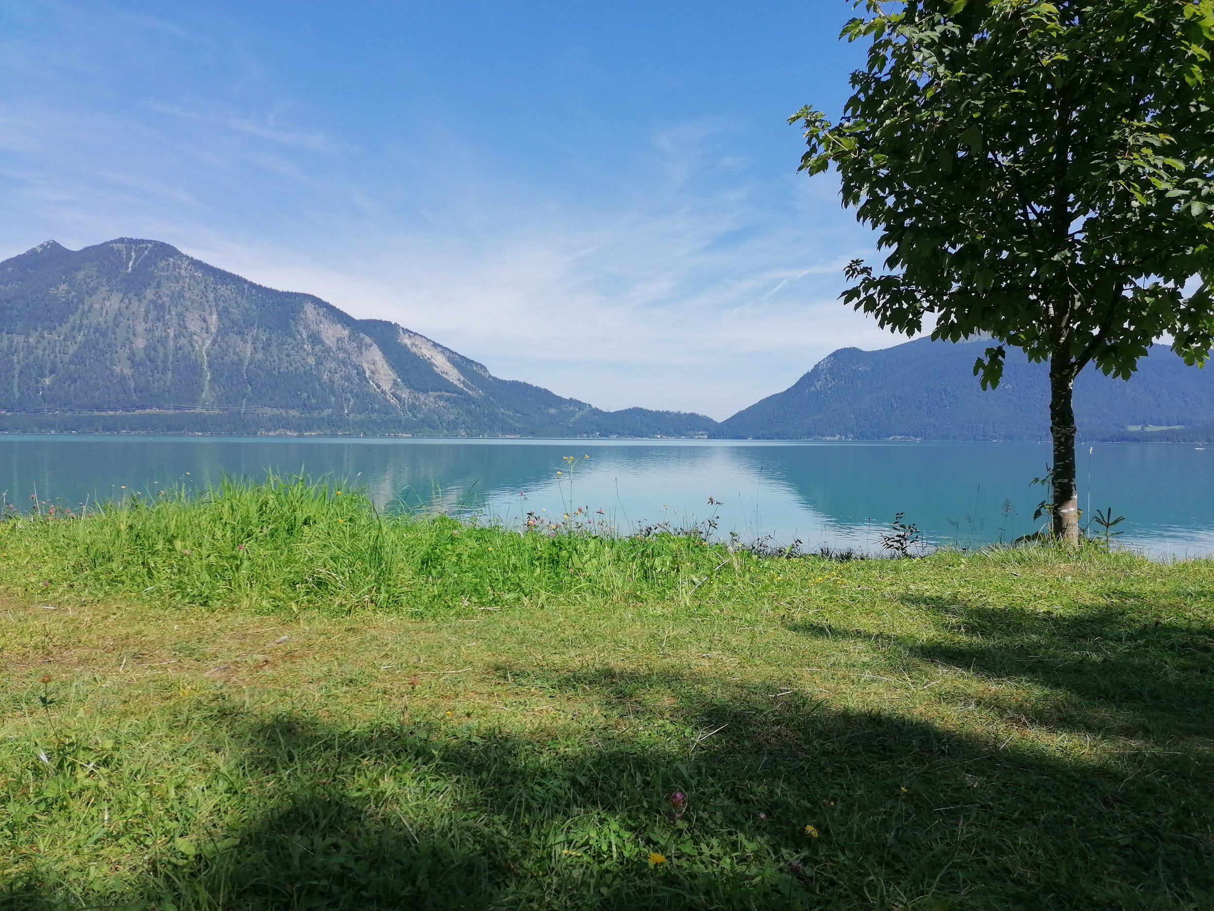 IMG_20210812_113753.jpg