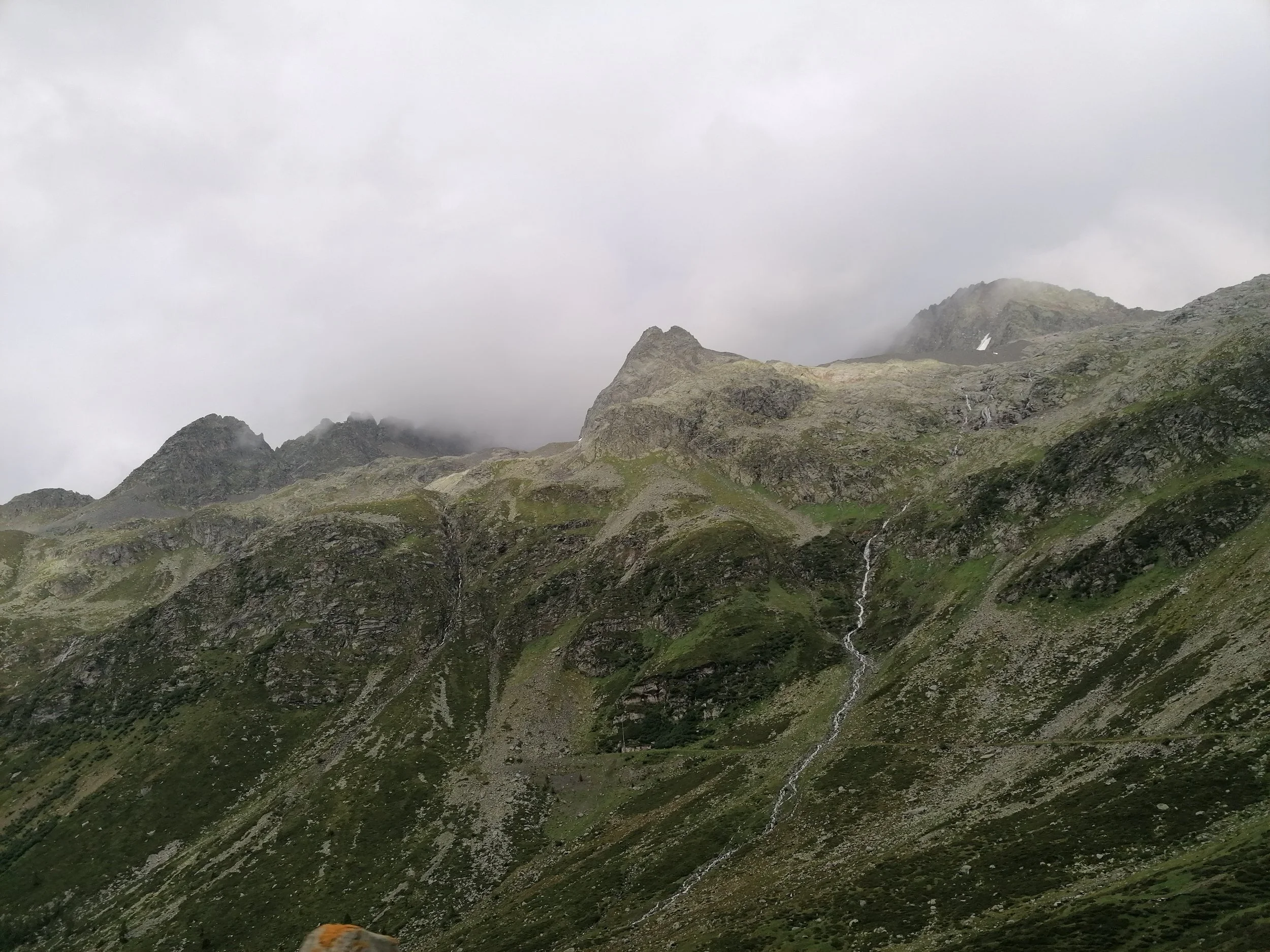IMG_20210816_183925.jpg