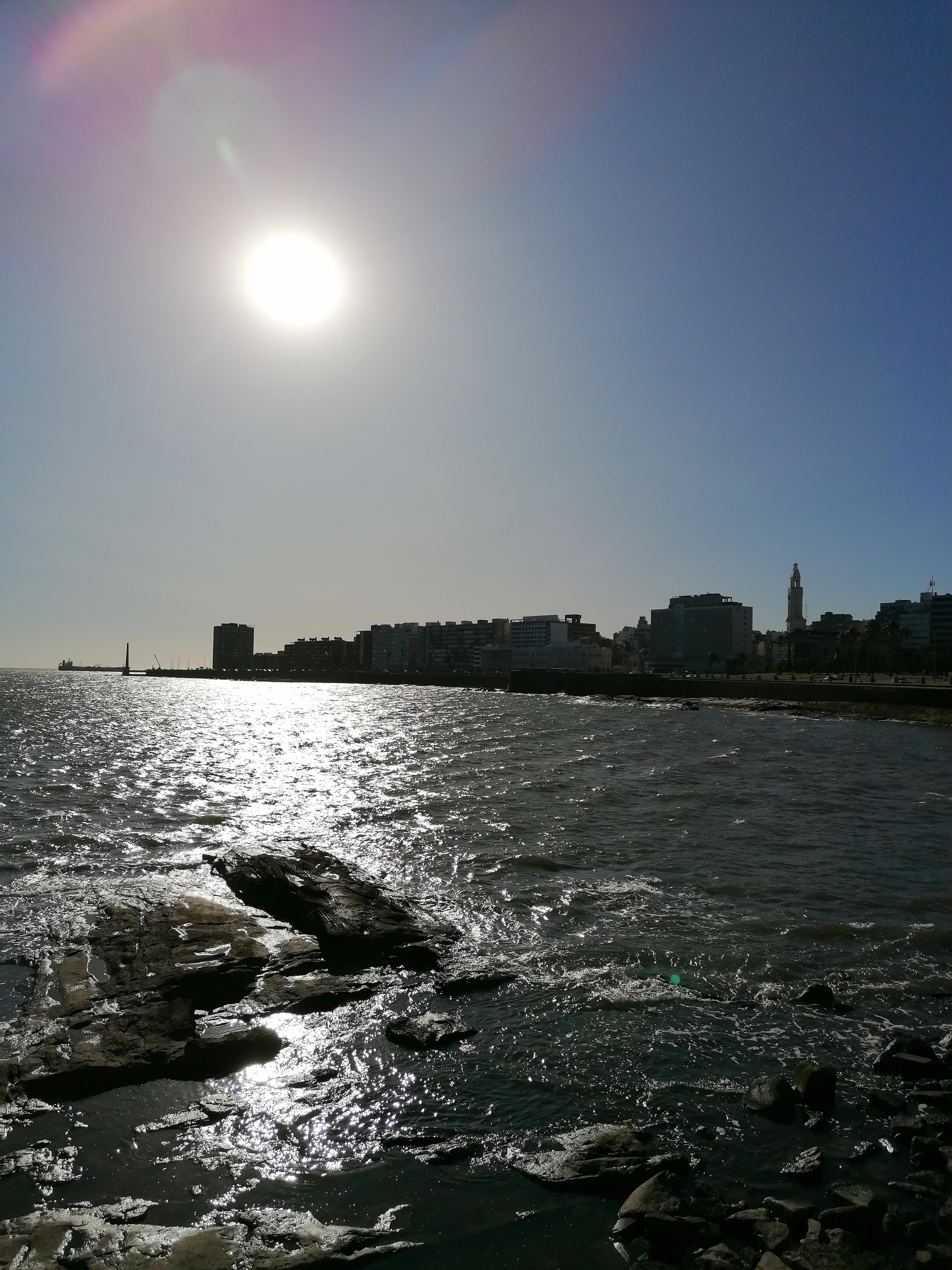 IMG_20220228_173100.jpg