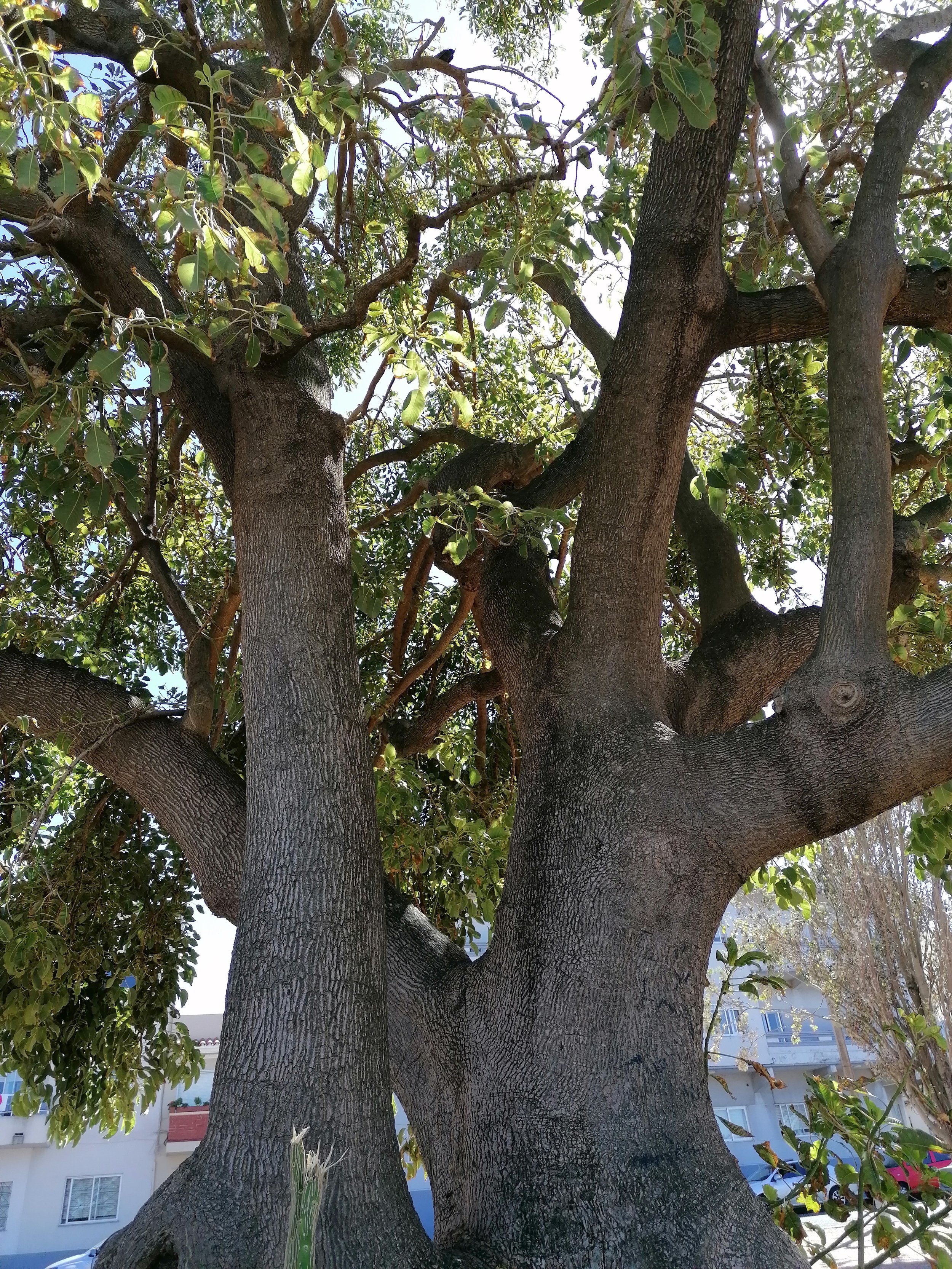 IMG_20220302_111624.jpg