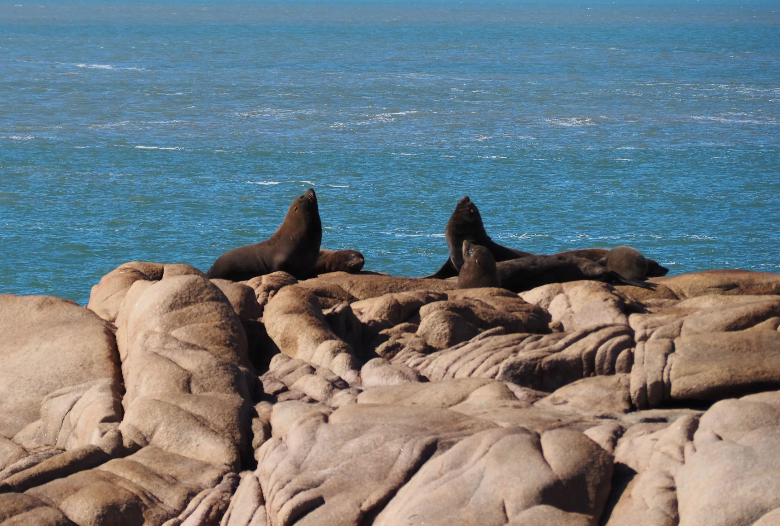 P3140432 (2).JPG