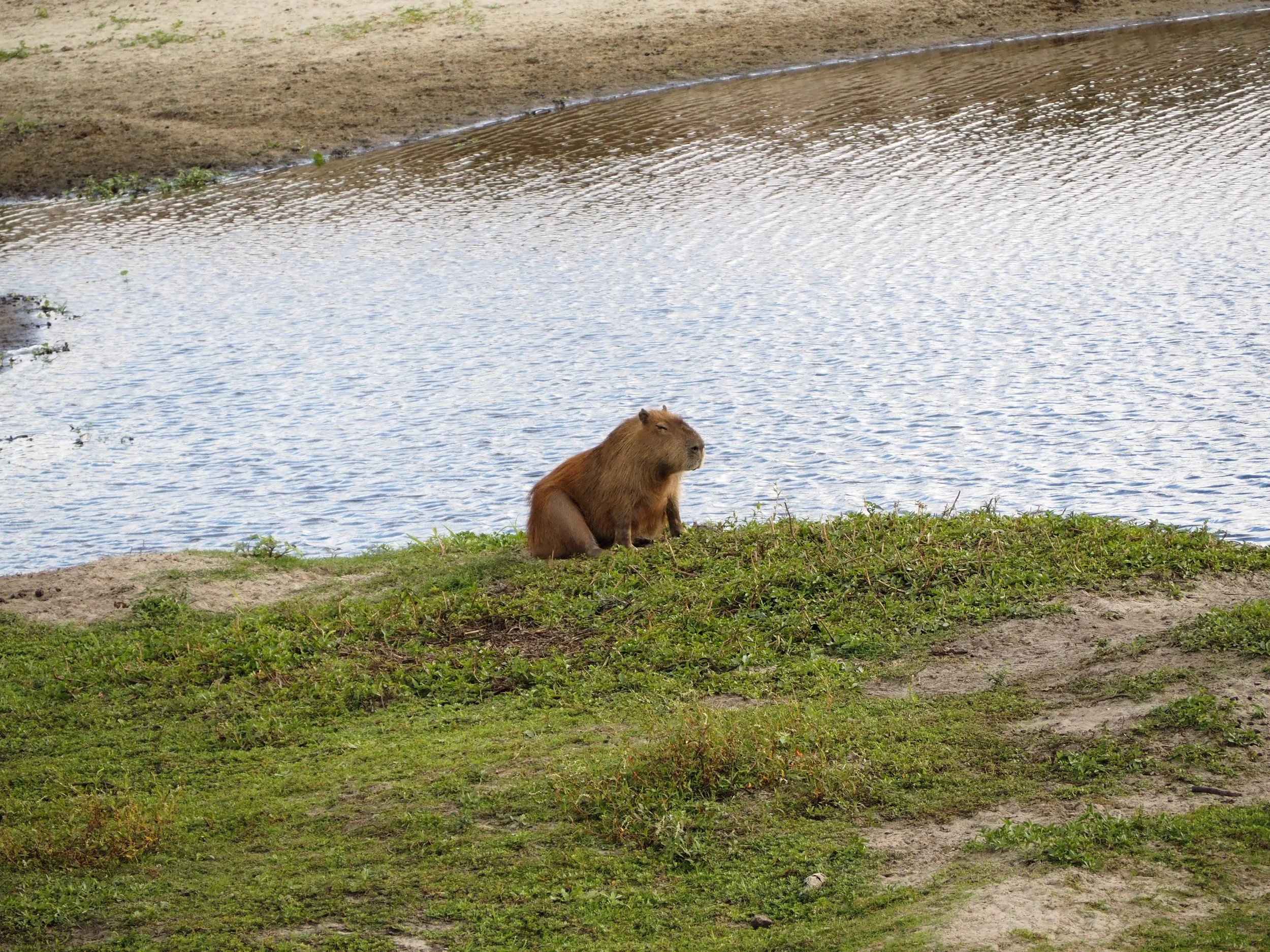 P3160656.JPG