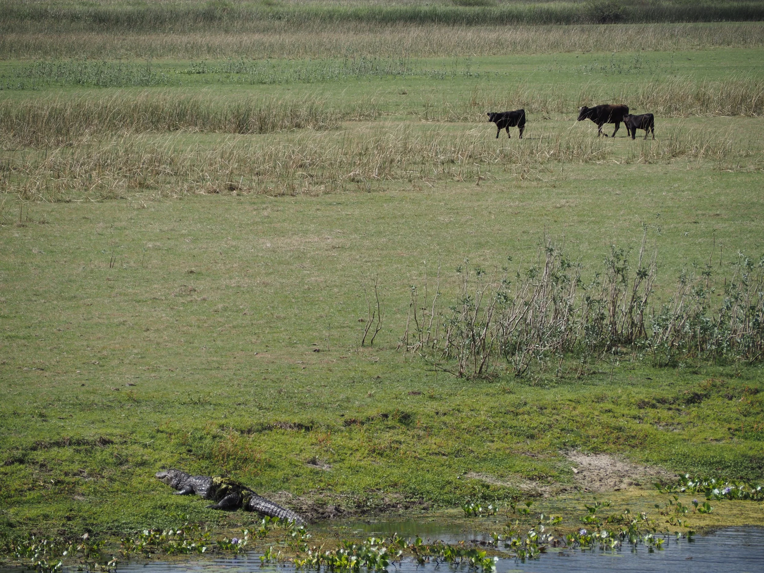 P3160672.JPG