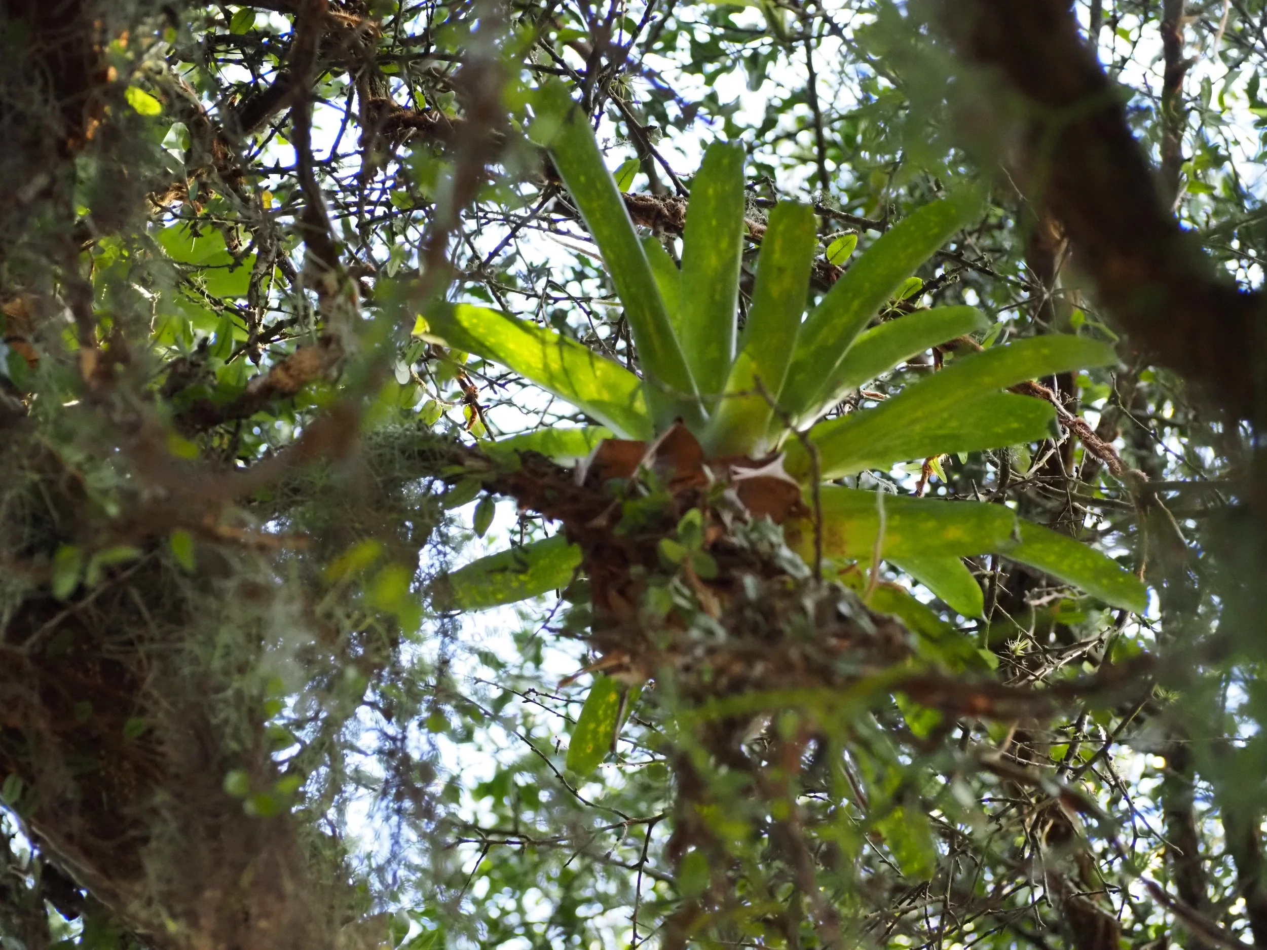 P3170696.JPG