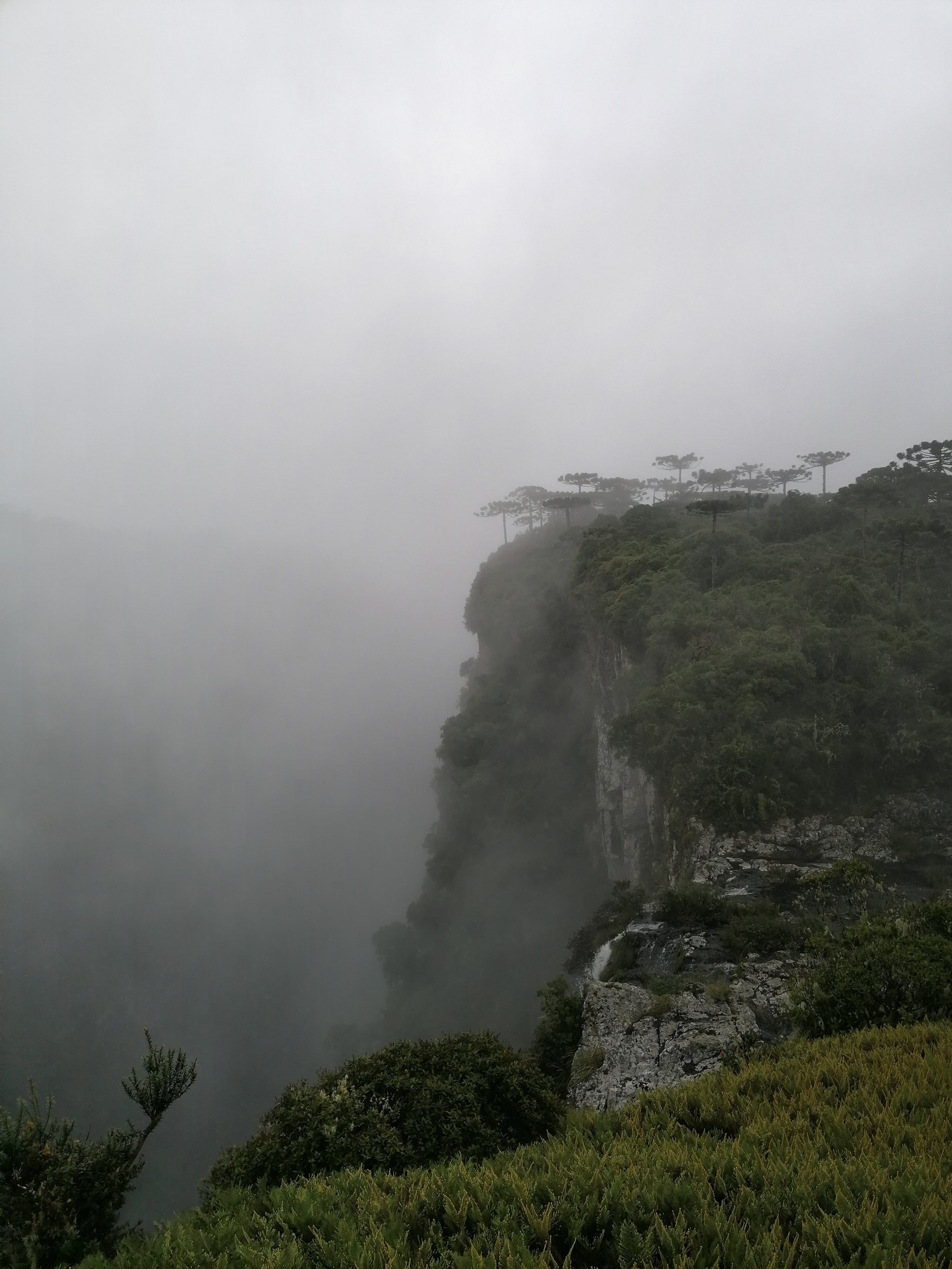 IMG_20220320_131825.jpg