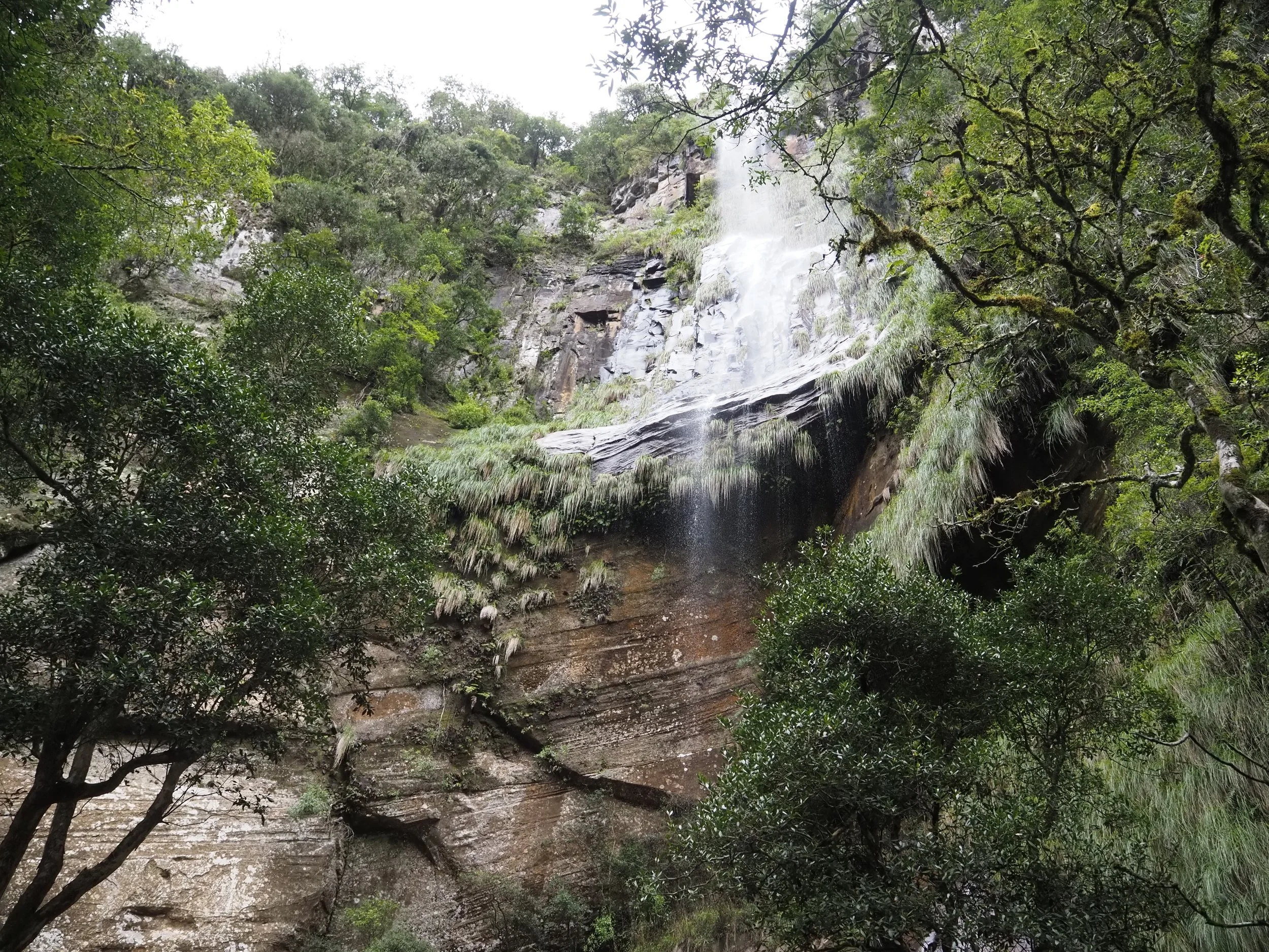 P3230820.JPG