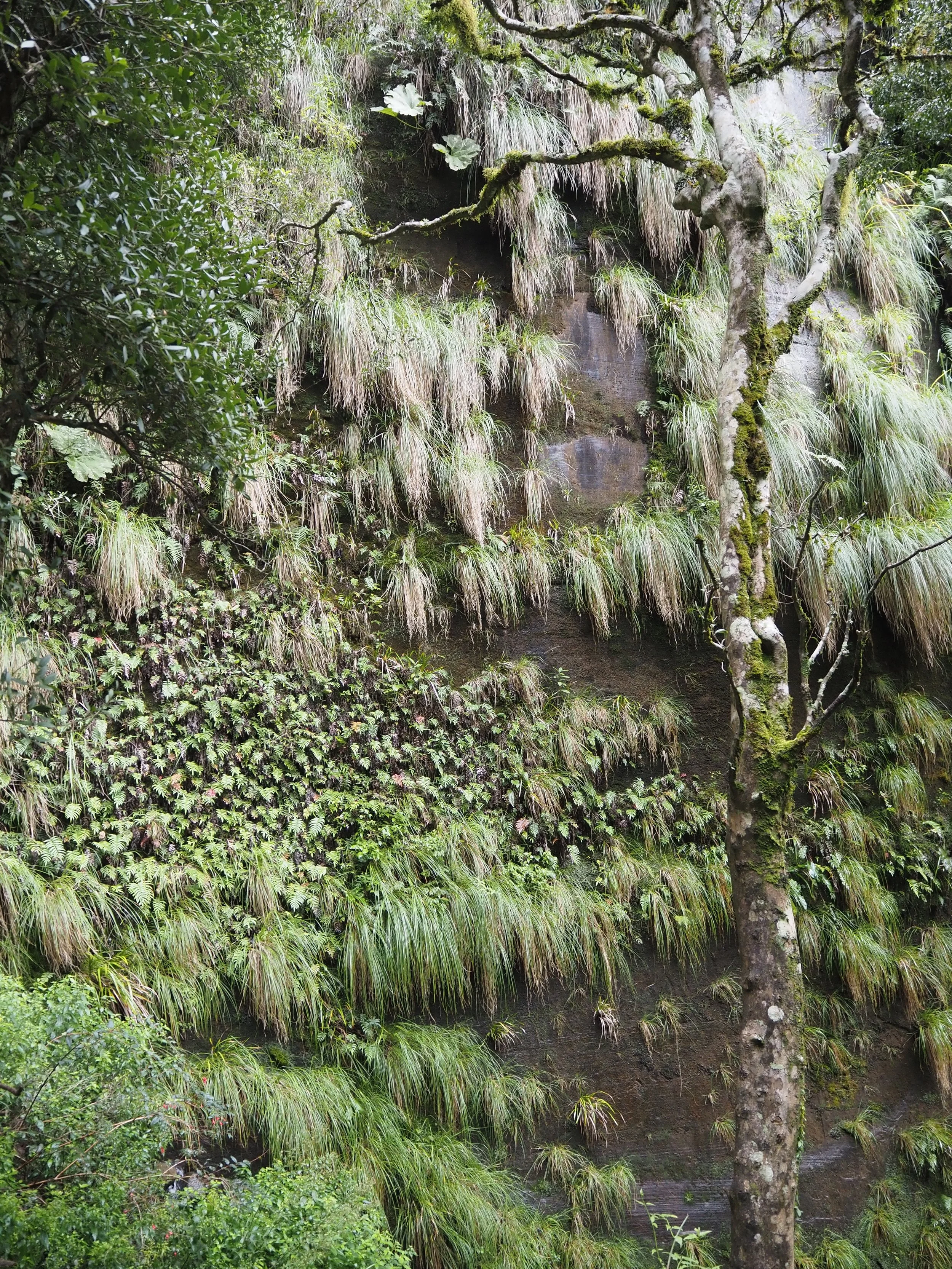 P3230839.JPG