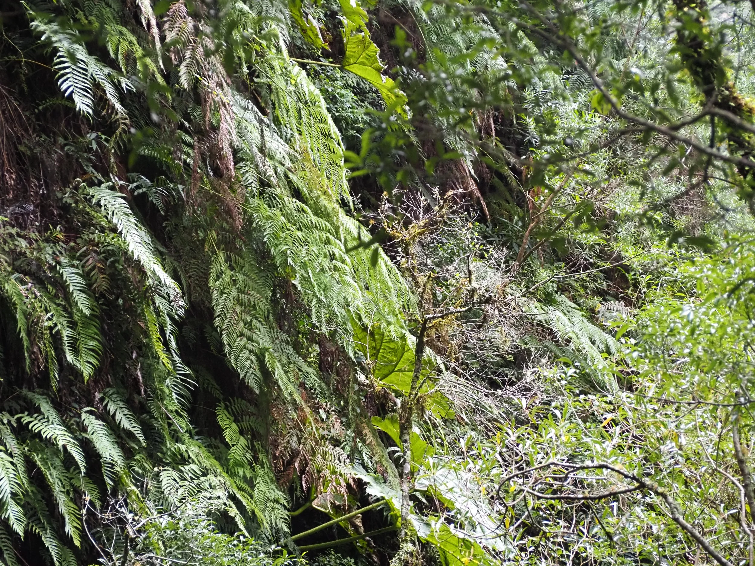 P3230852.JPG