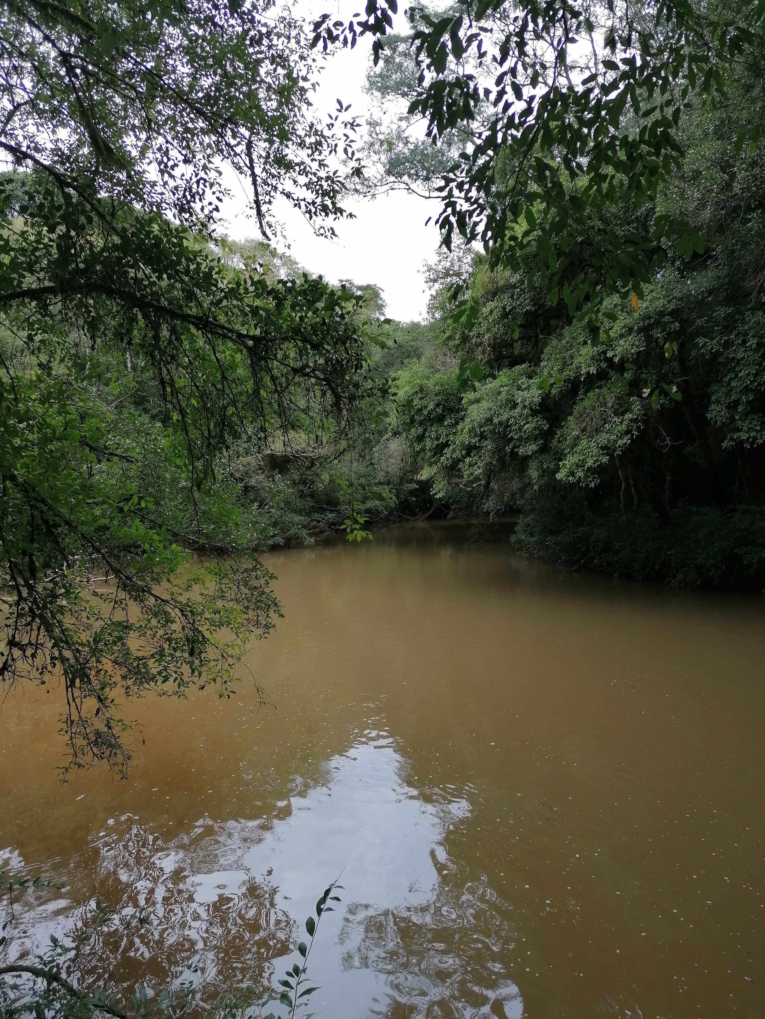 IMG_20220411_141532.jpg