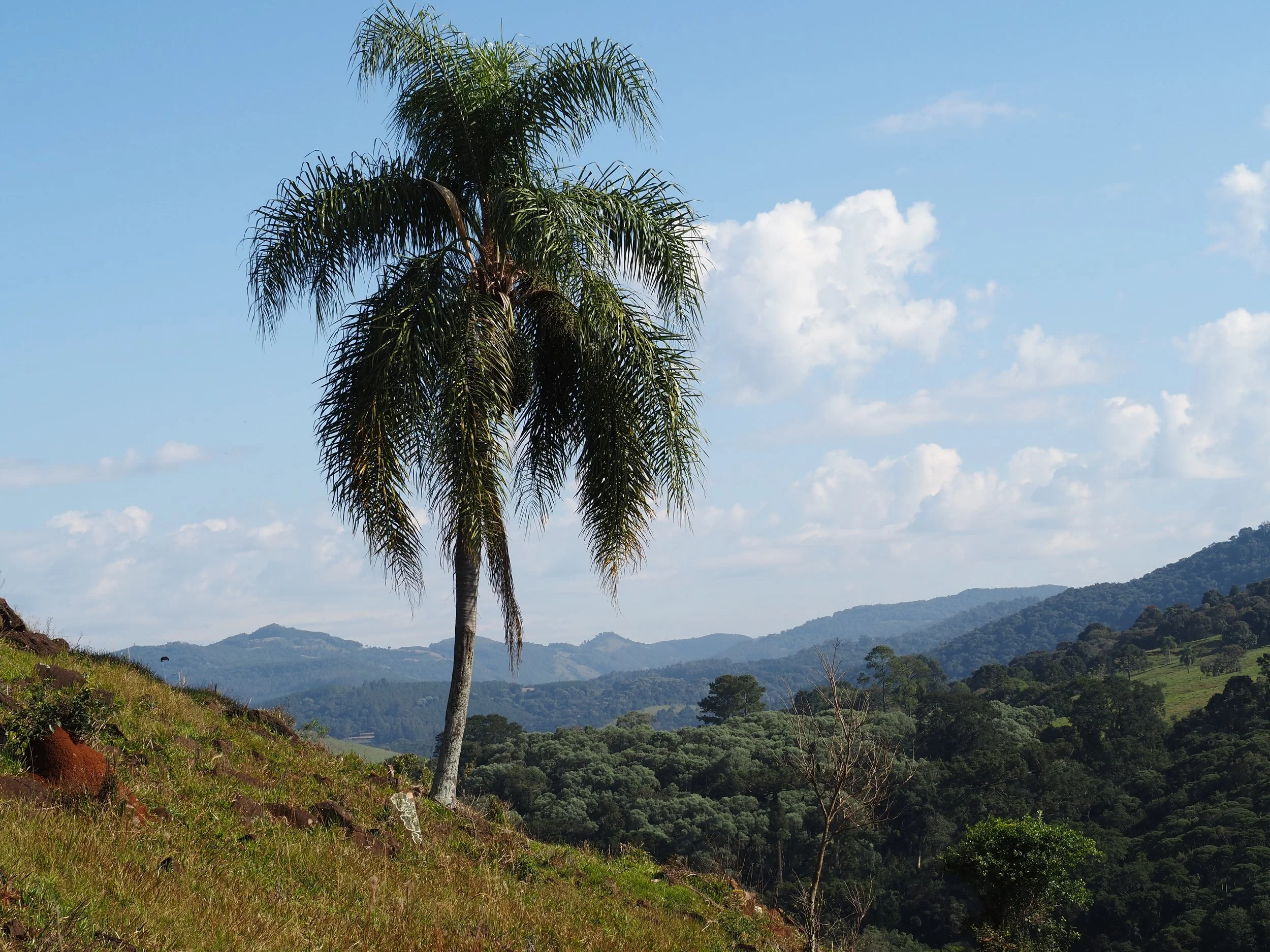 P4211397.JPG