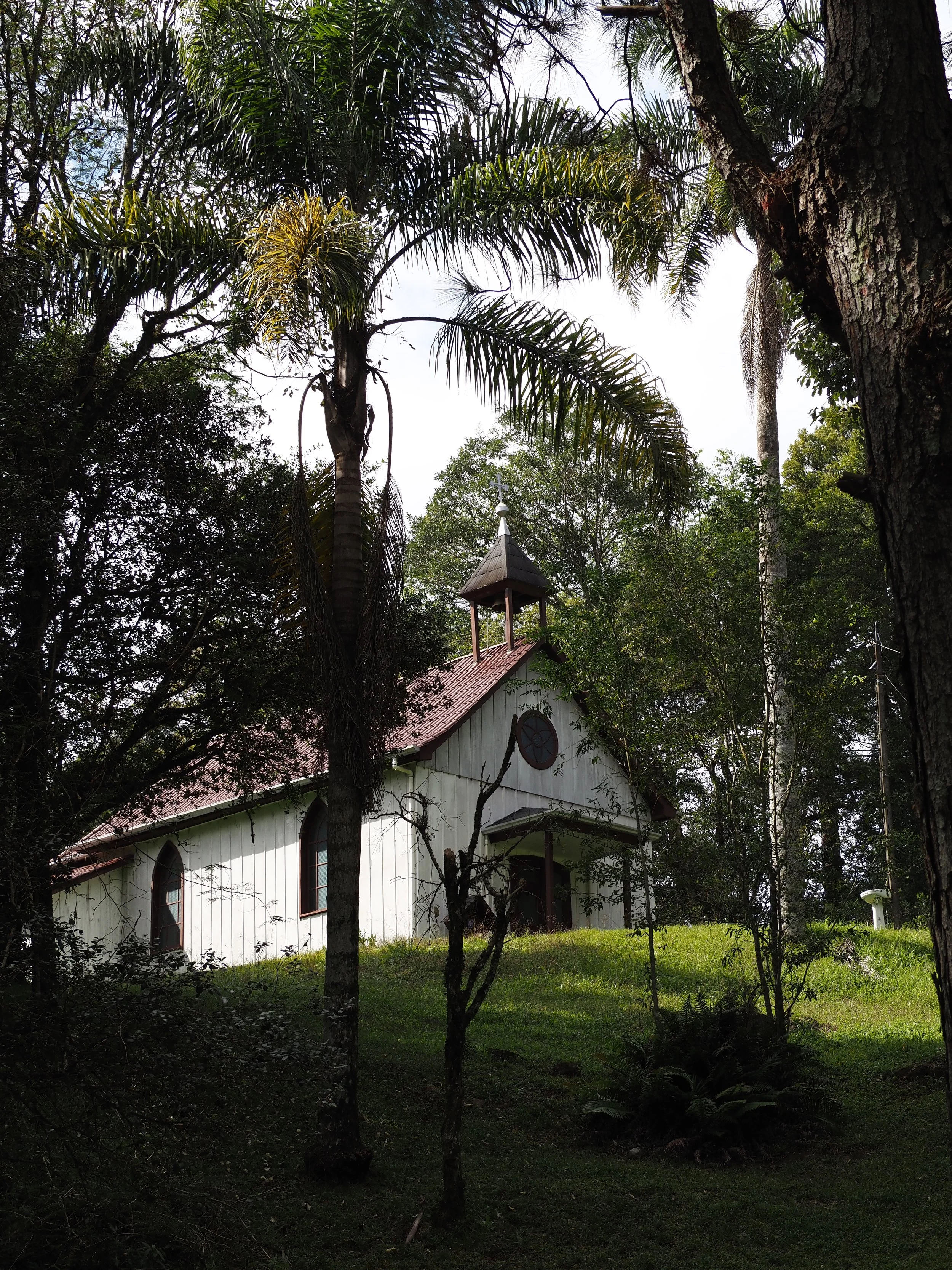 P4211455.JPG