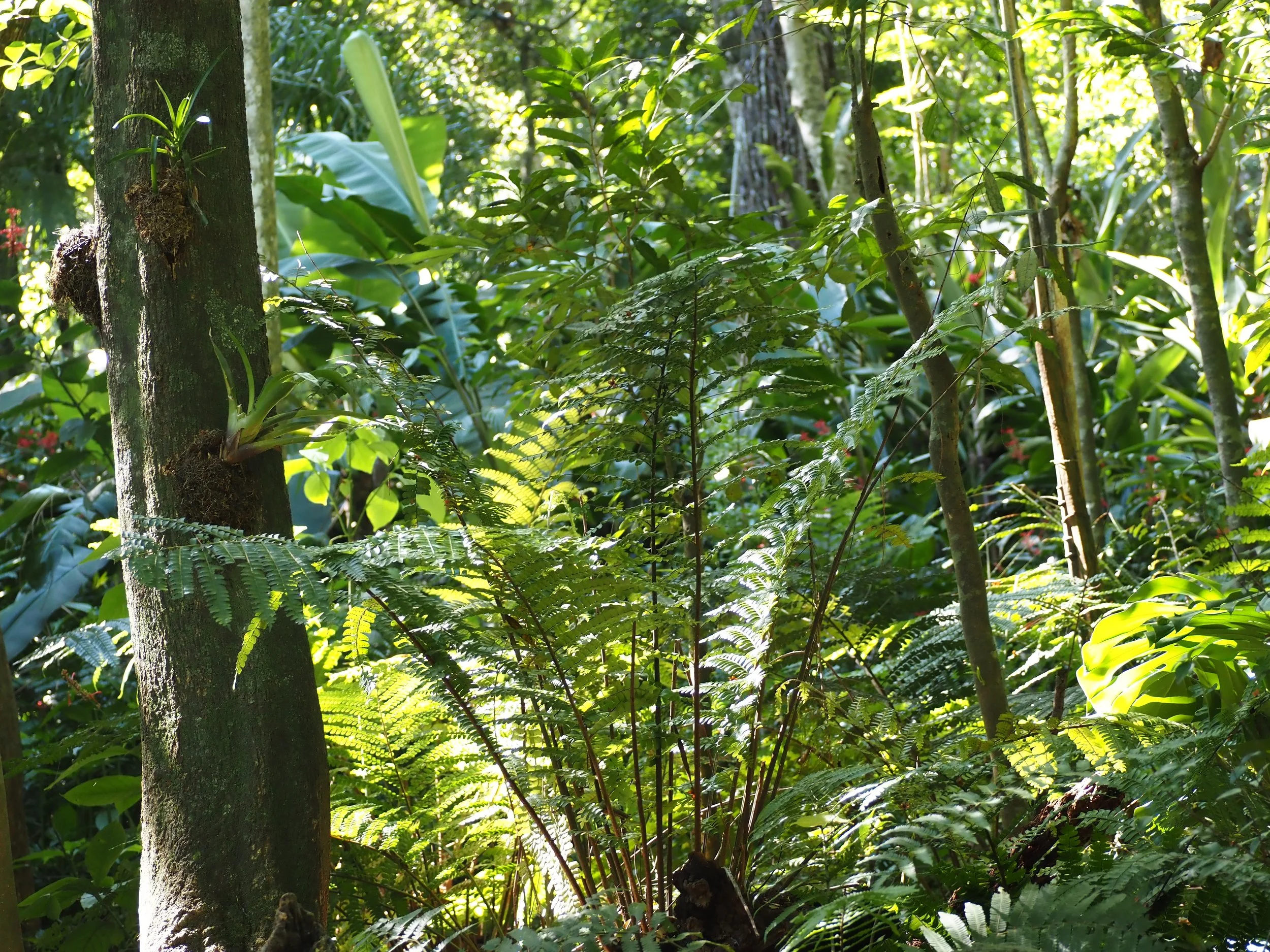 P4271762.JPG