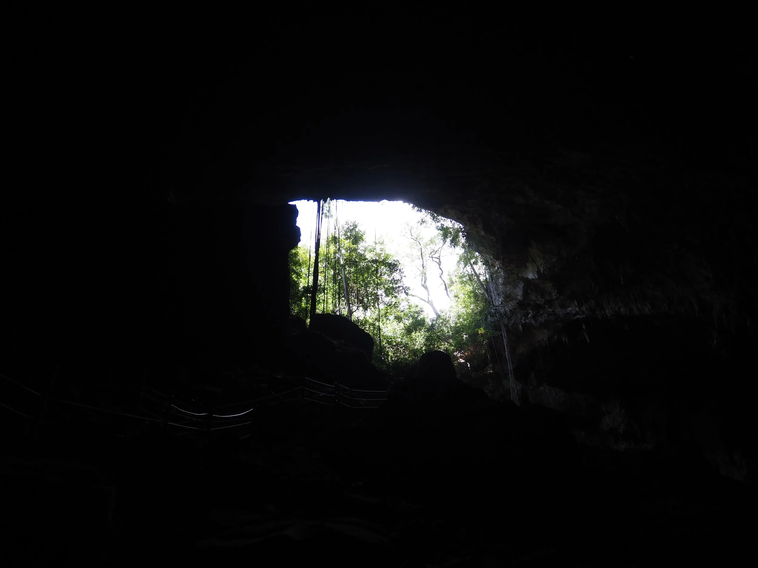 P5011989.JPG
