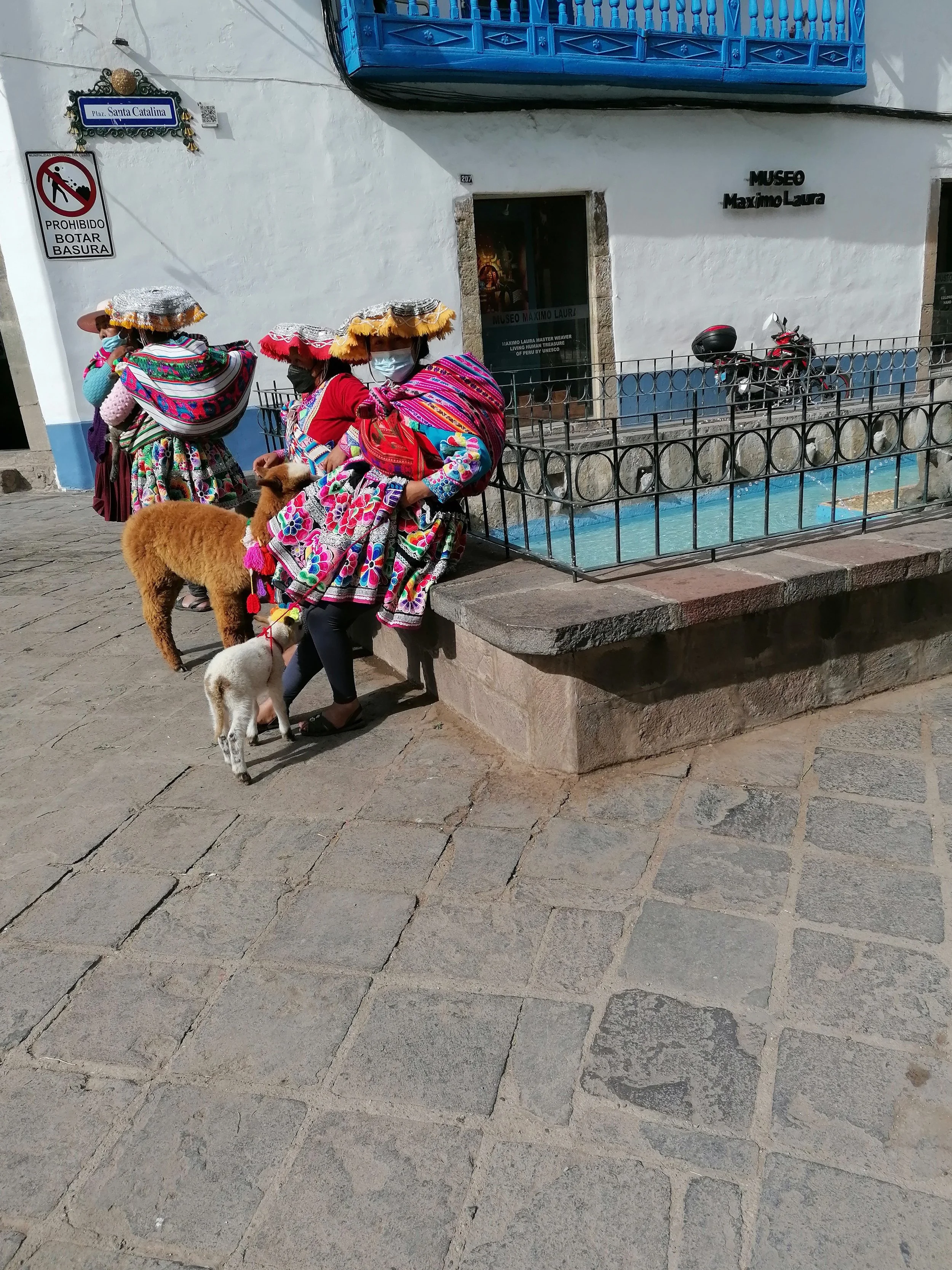 IMG_20220520_142711.jpg