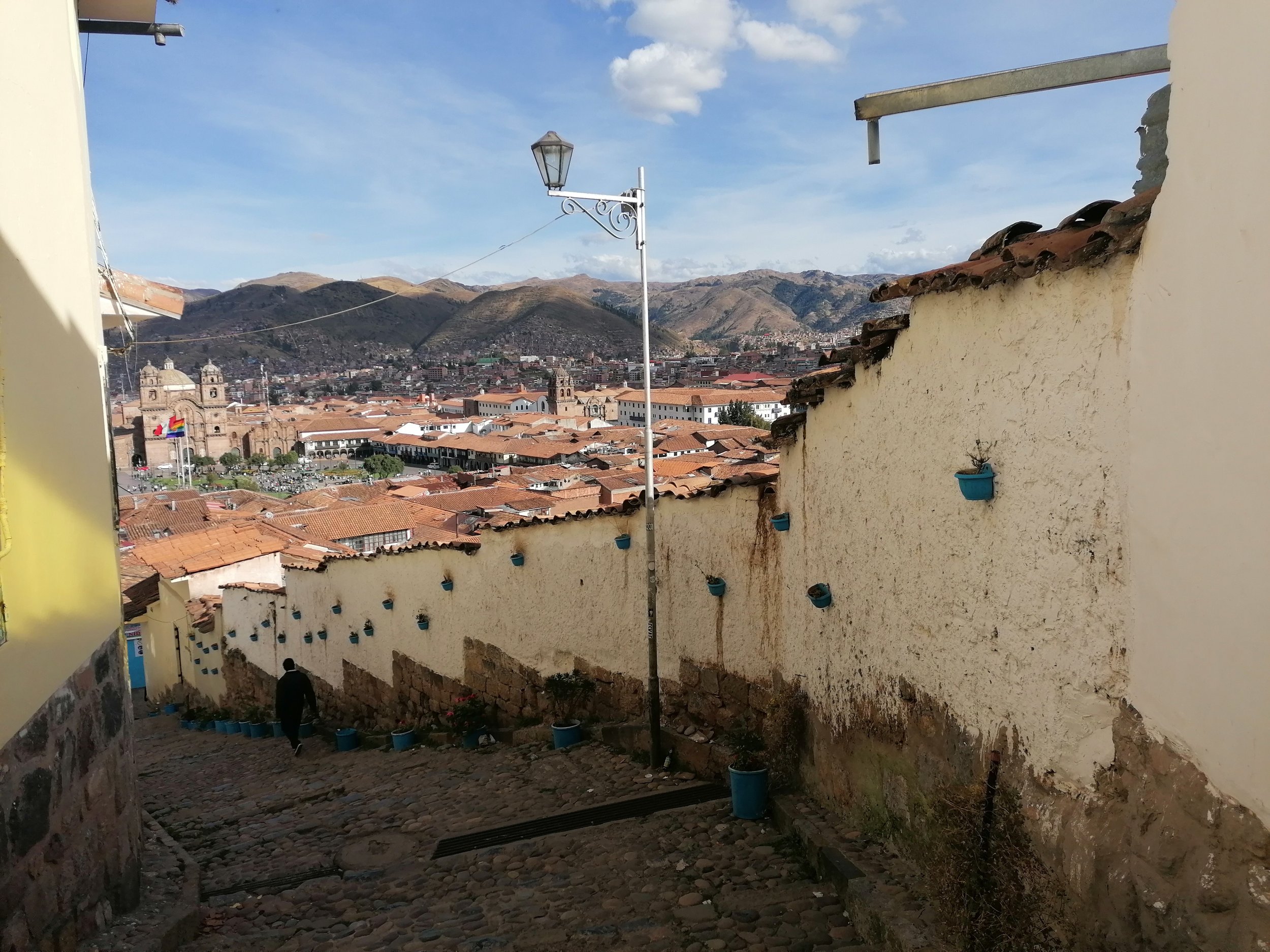 IMG_20220522_151850.jpg