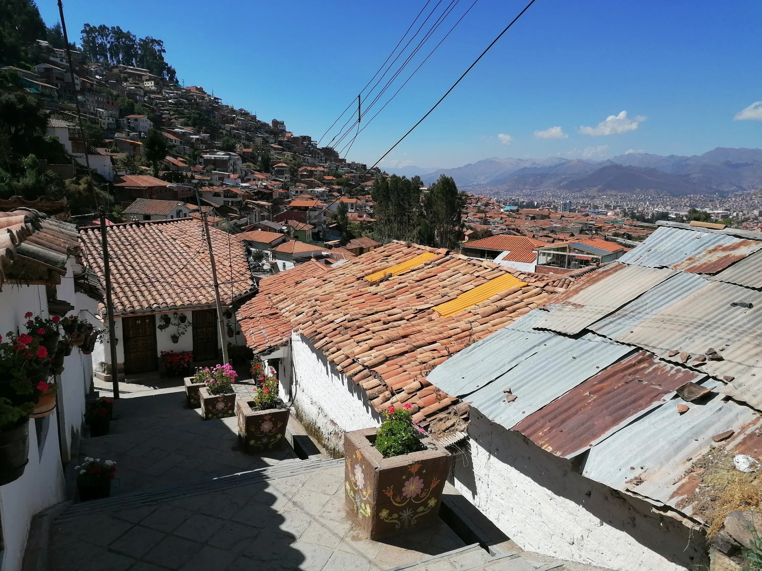 IMG_20220524_102307.jpg