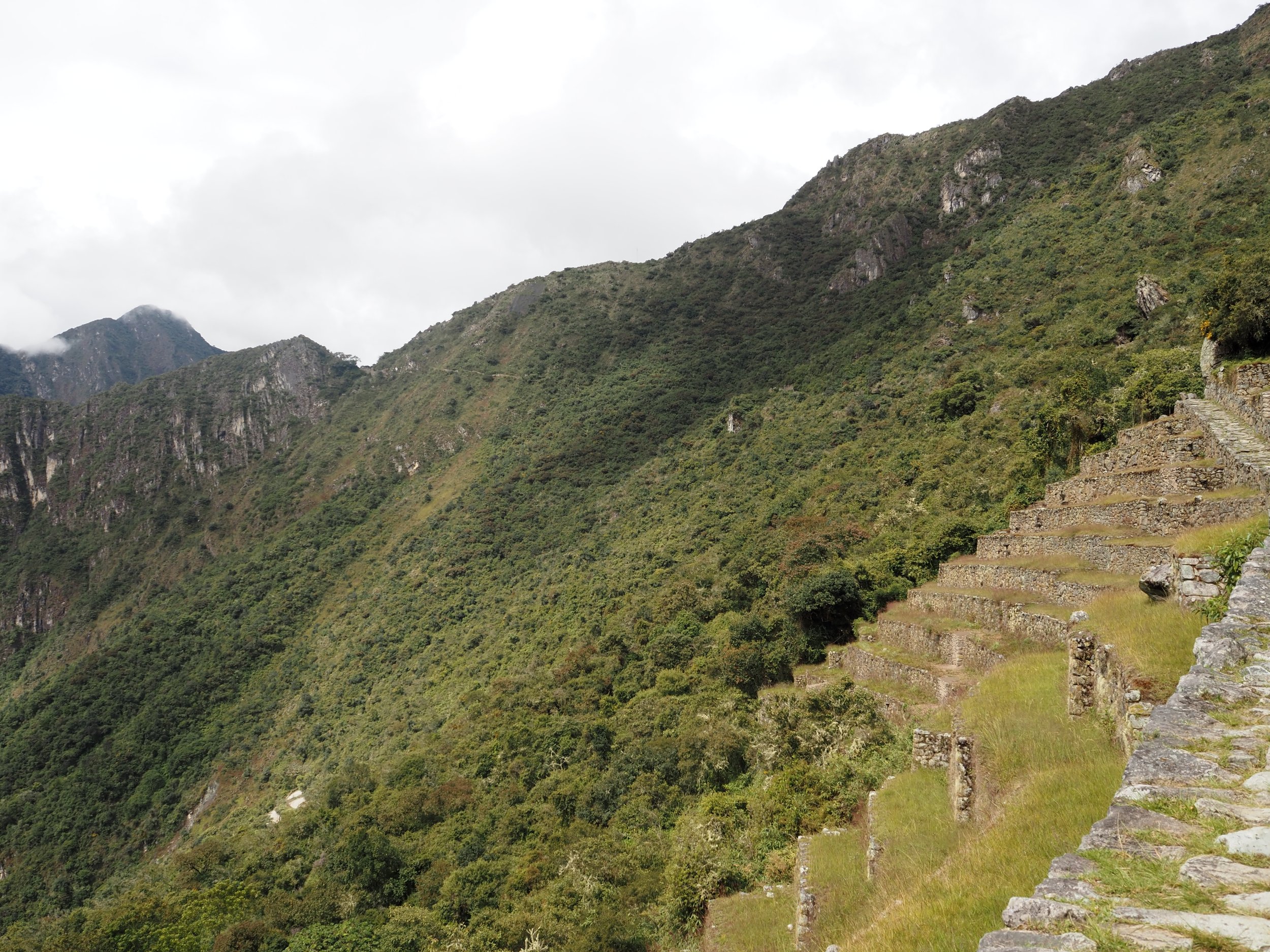 P5272690.JPG