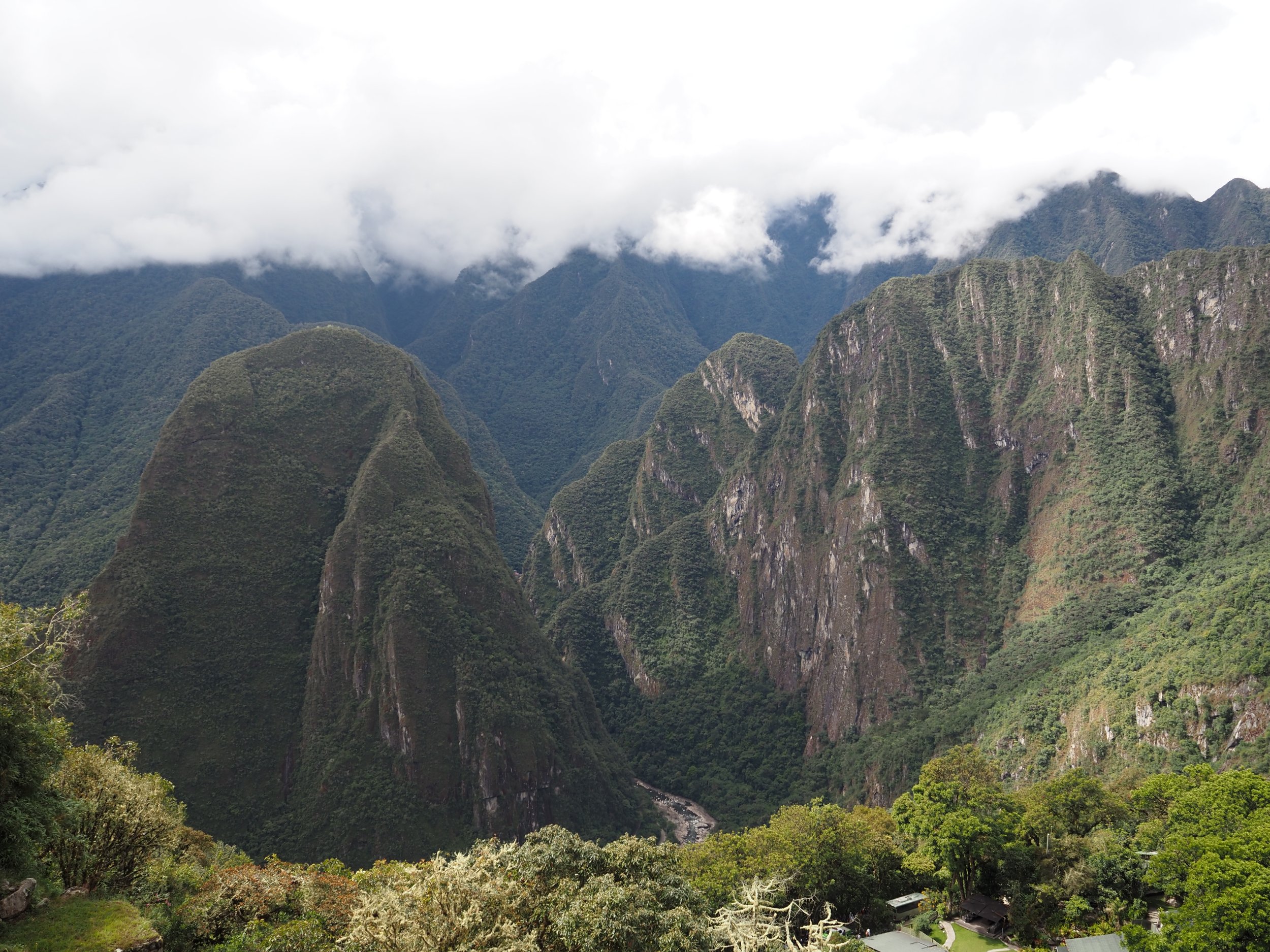 P5272686.JPG