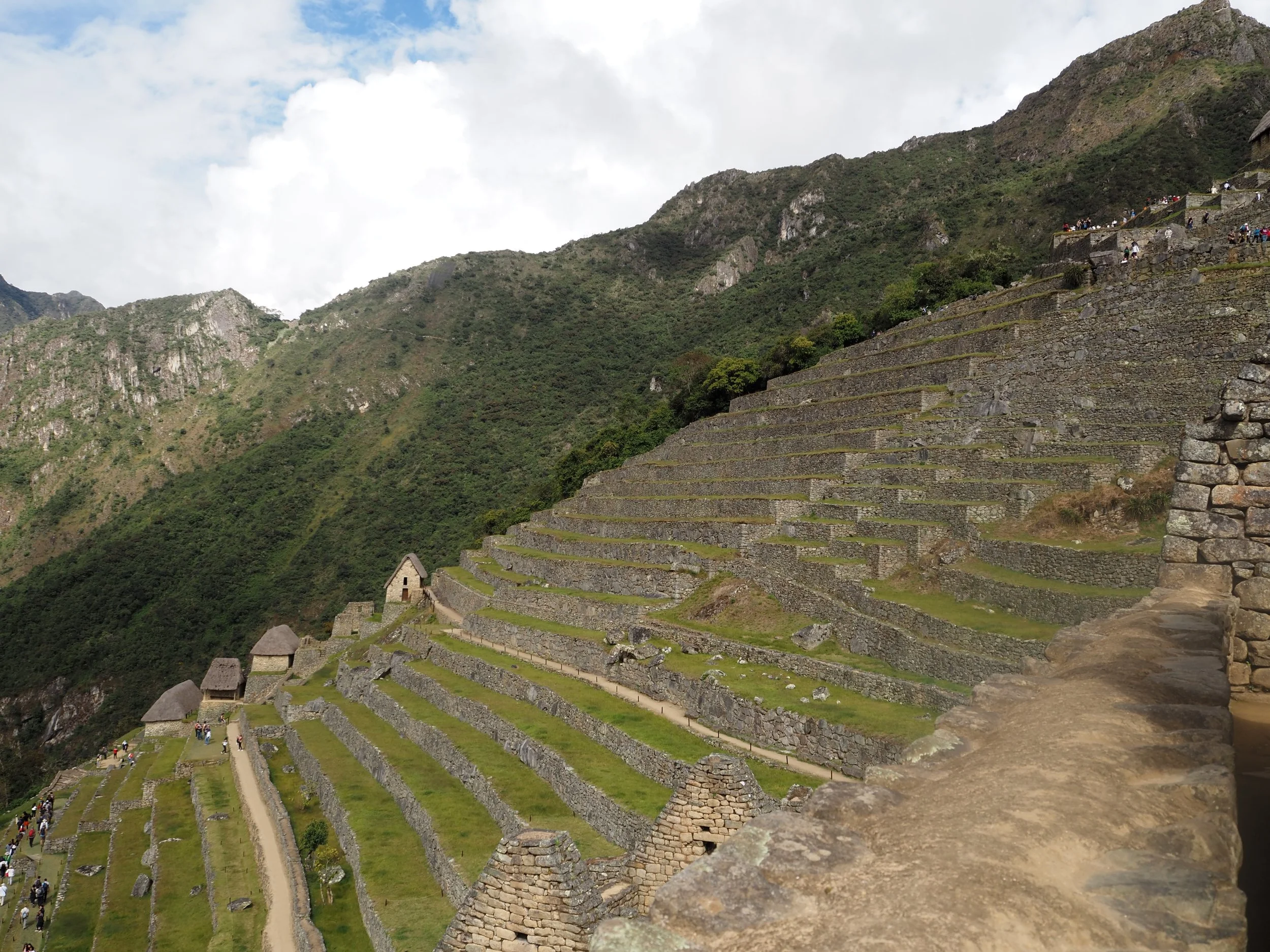 P5272773.JPG