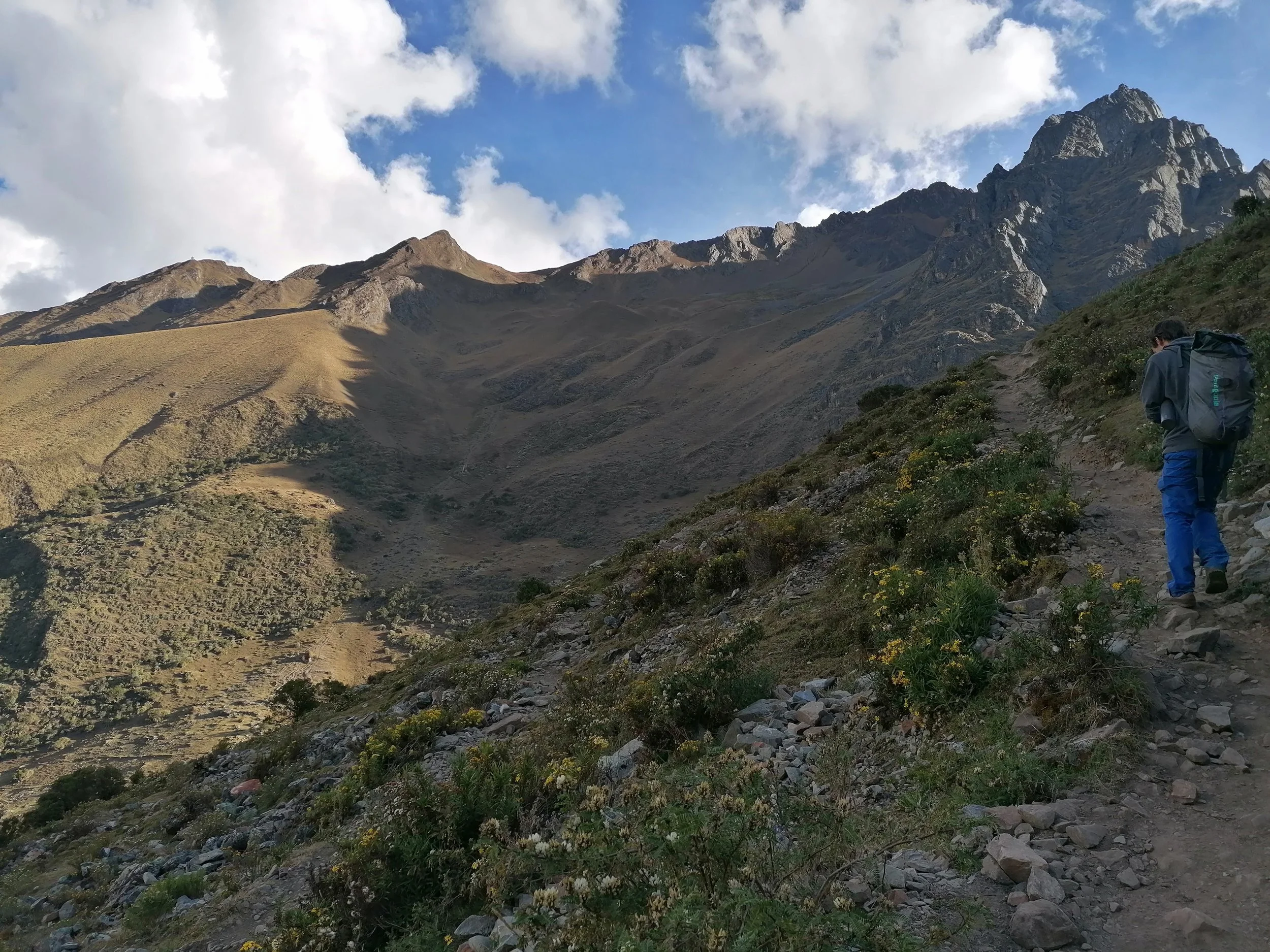 IMG_20220606_154521.jpg