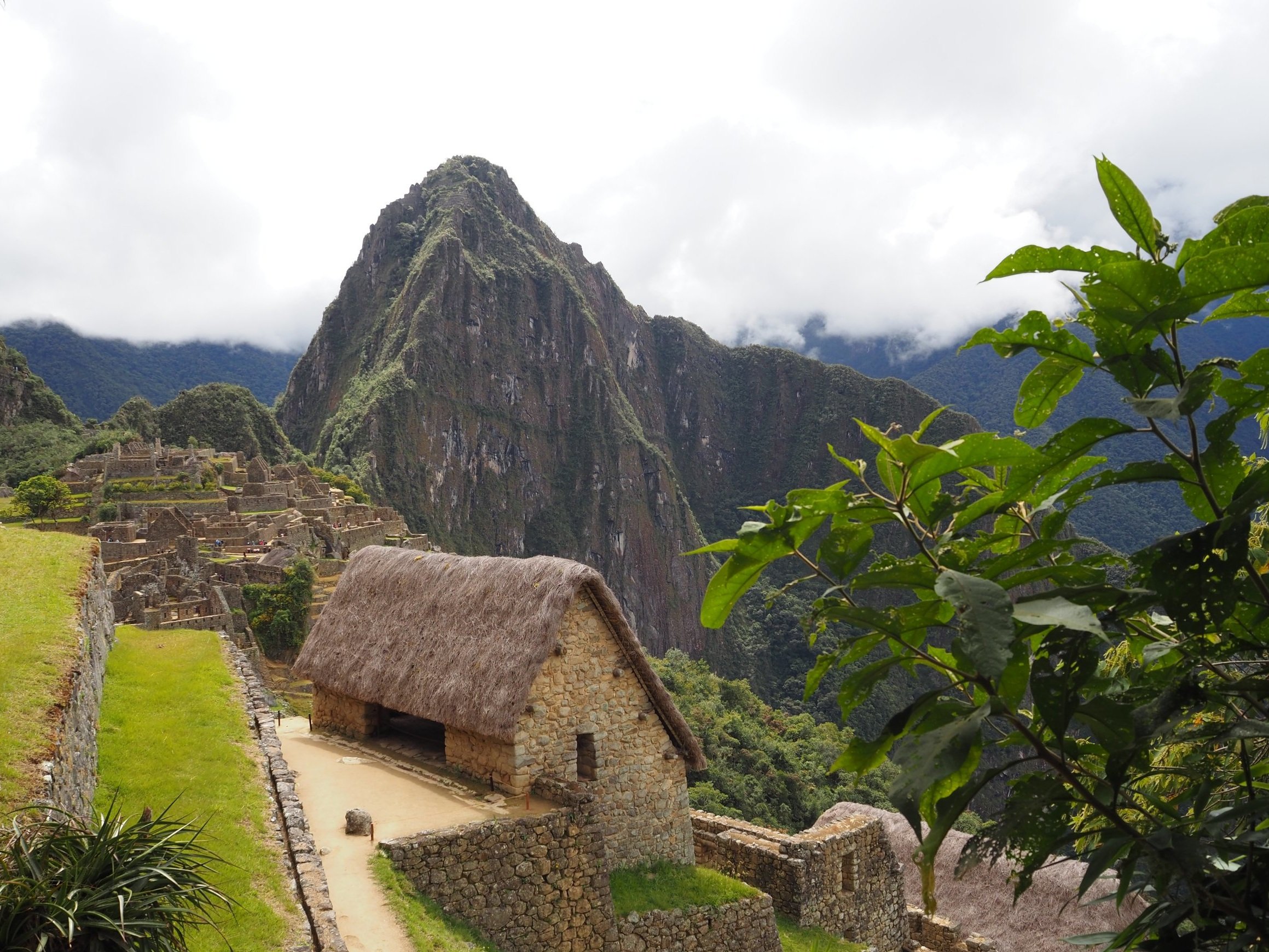 P5272685.jpg