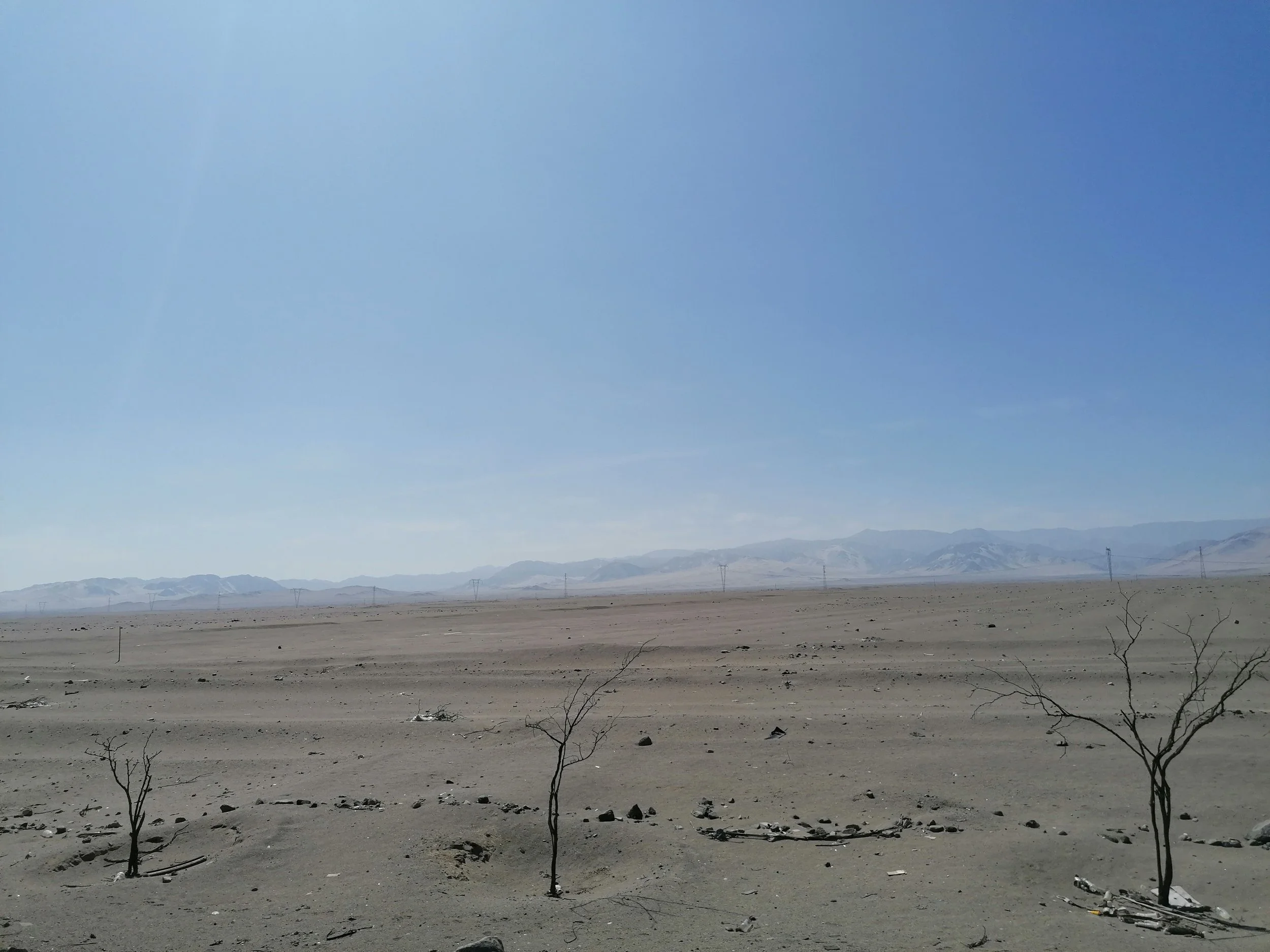 IMG_20220614_125109.jpg