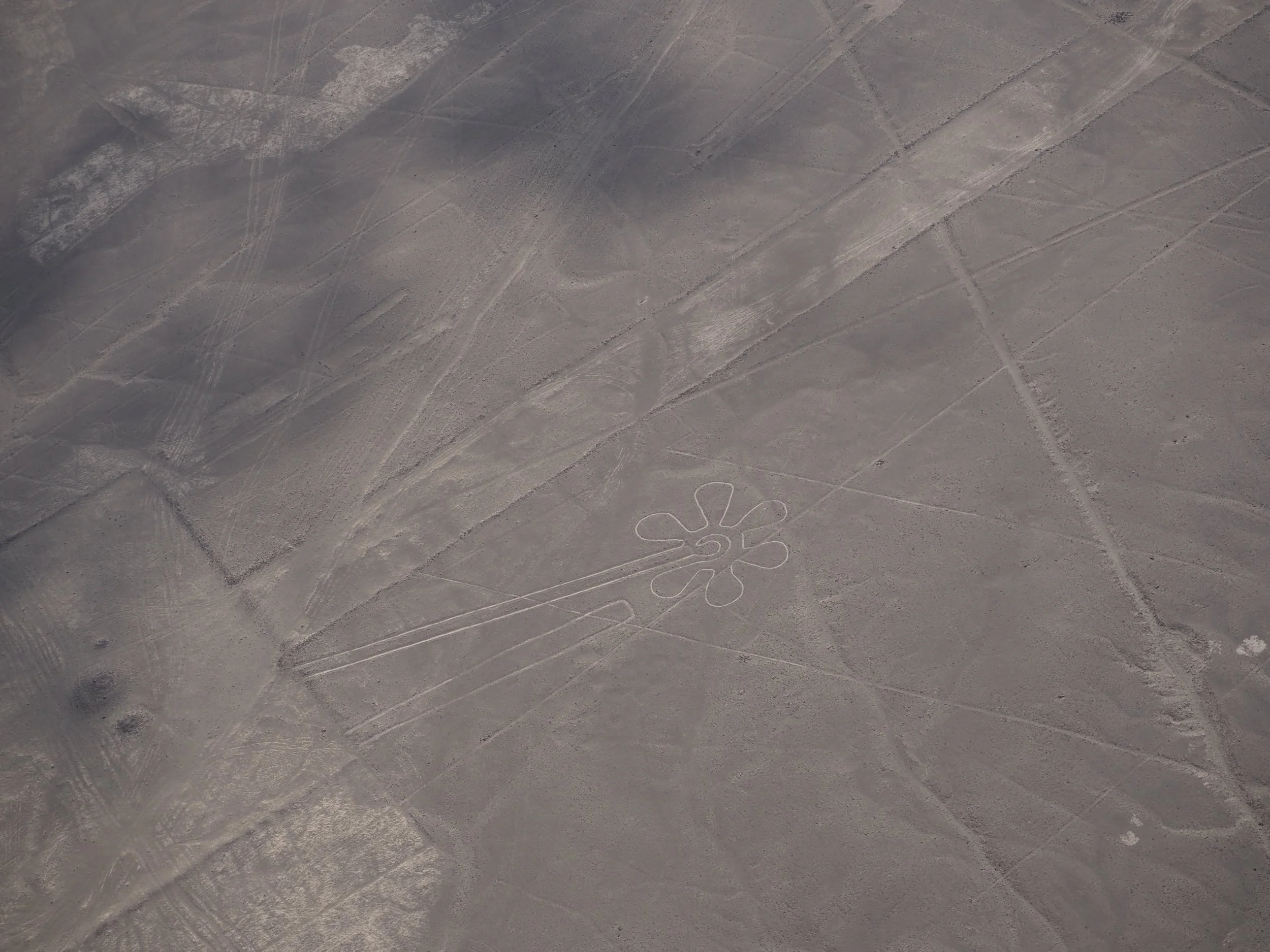 P6143332.JPG