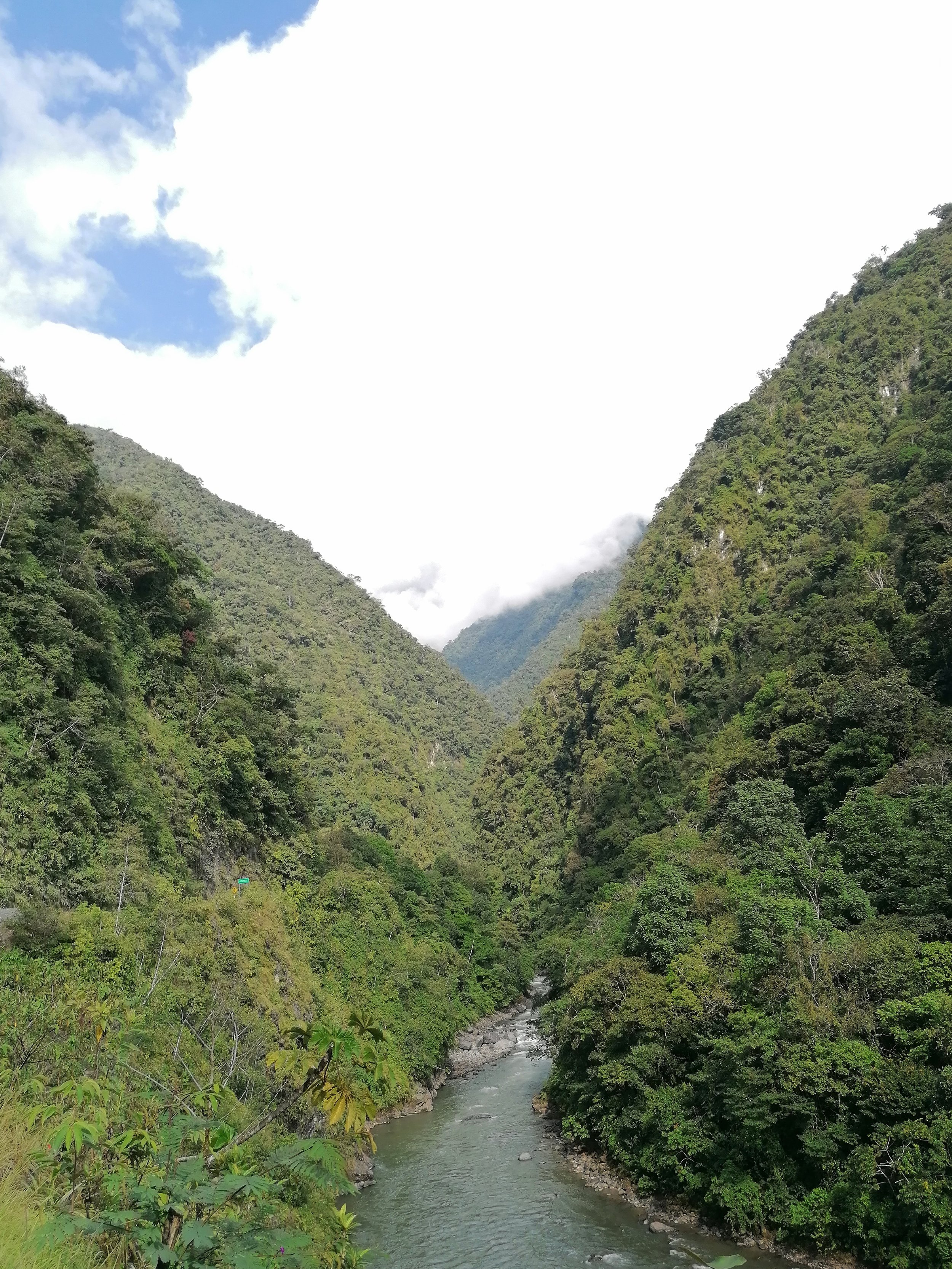 IMG_20220619_092351.jpg