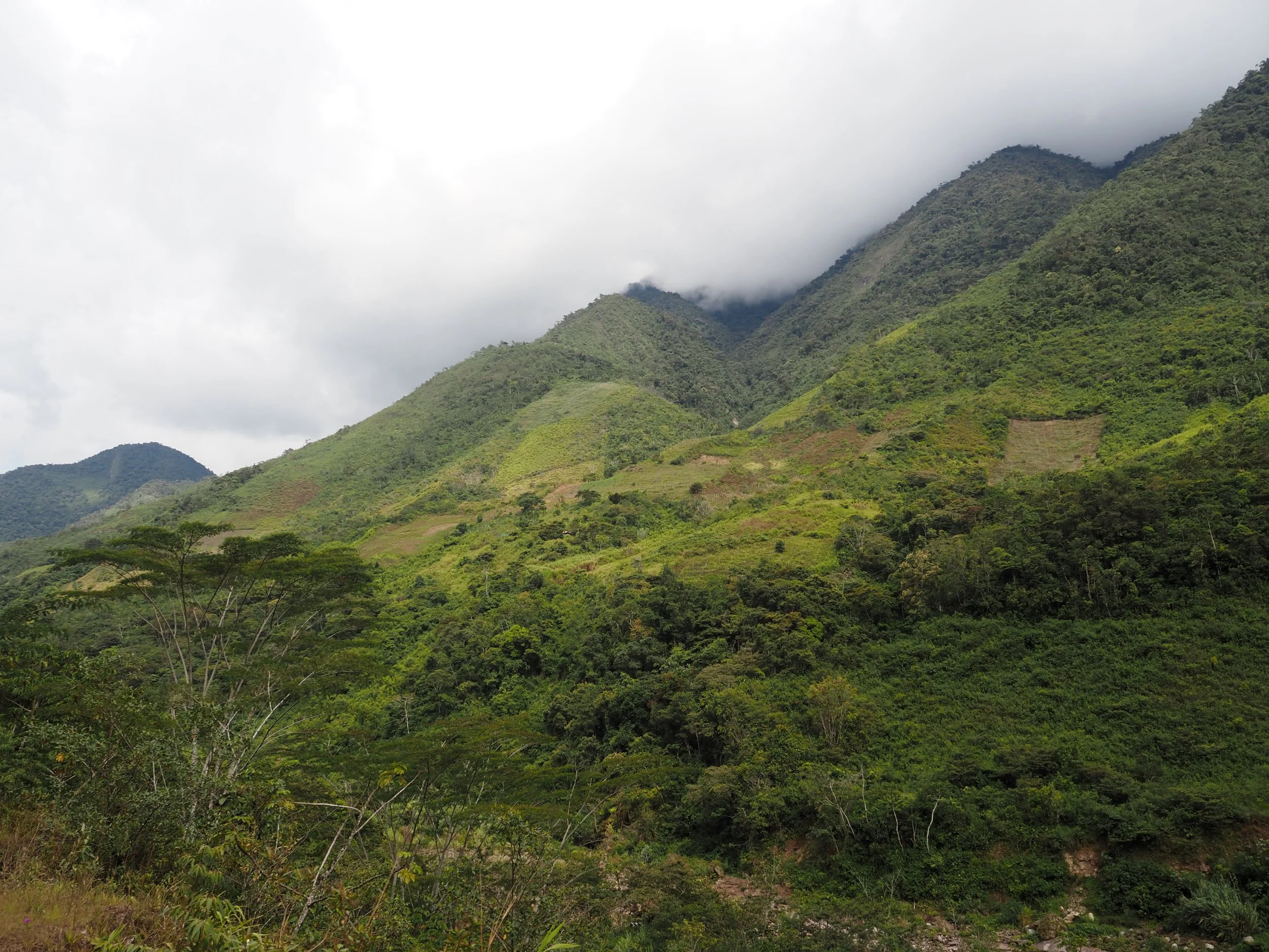 P6193435.JPG