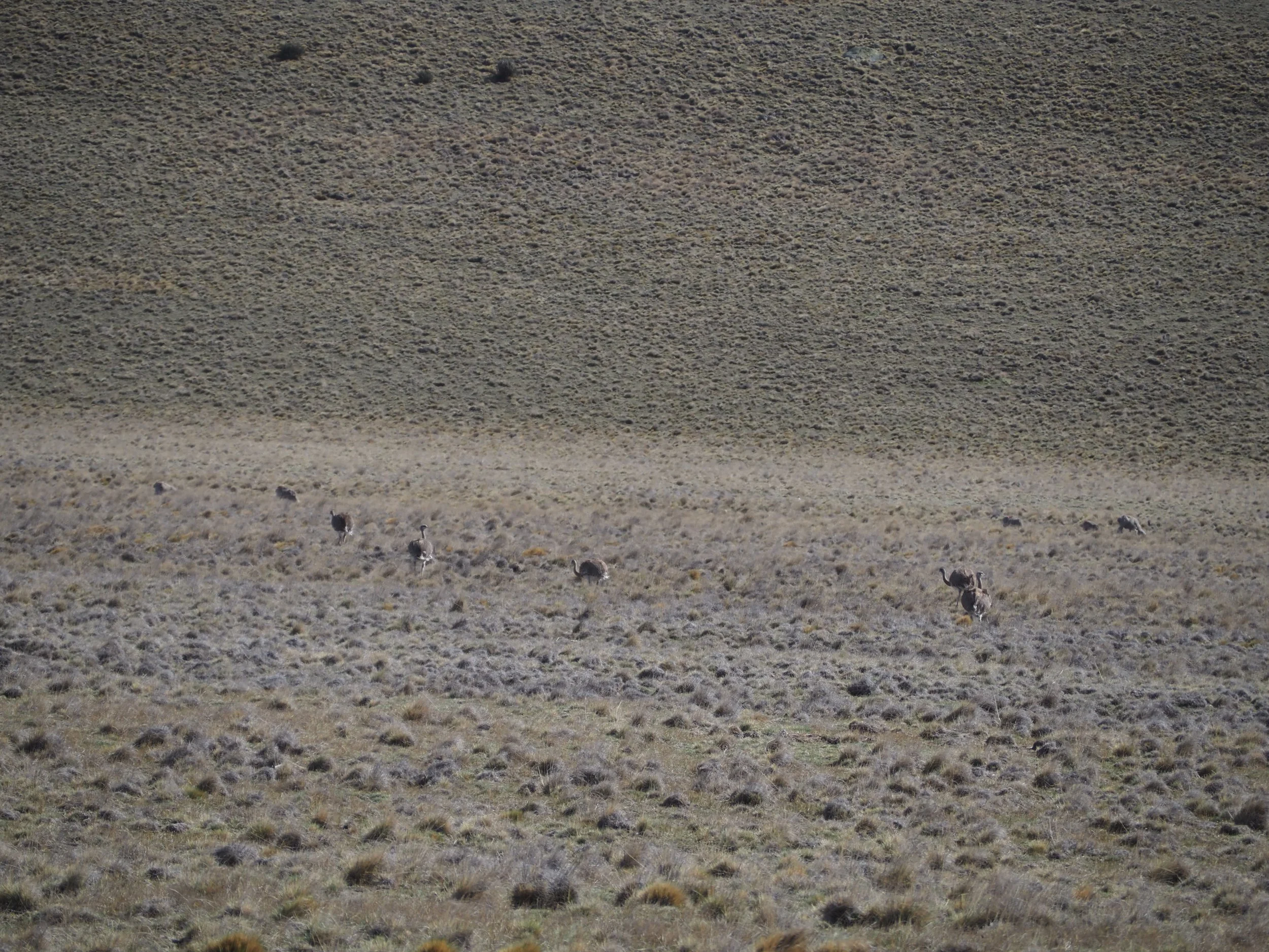 PA205428.JPG