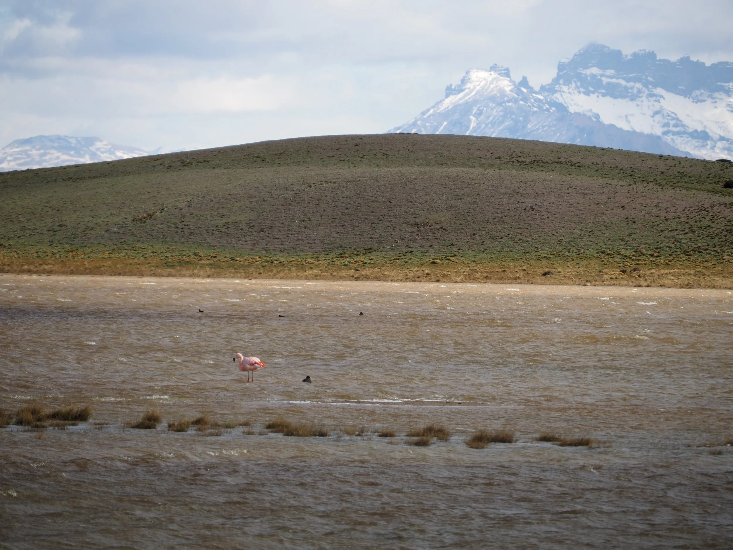 PA205445.JPG