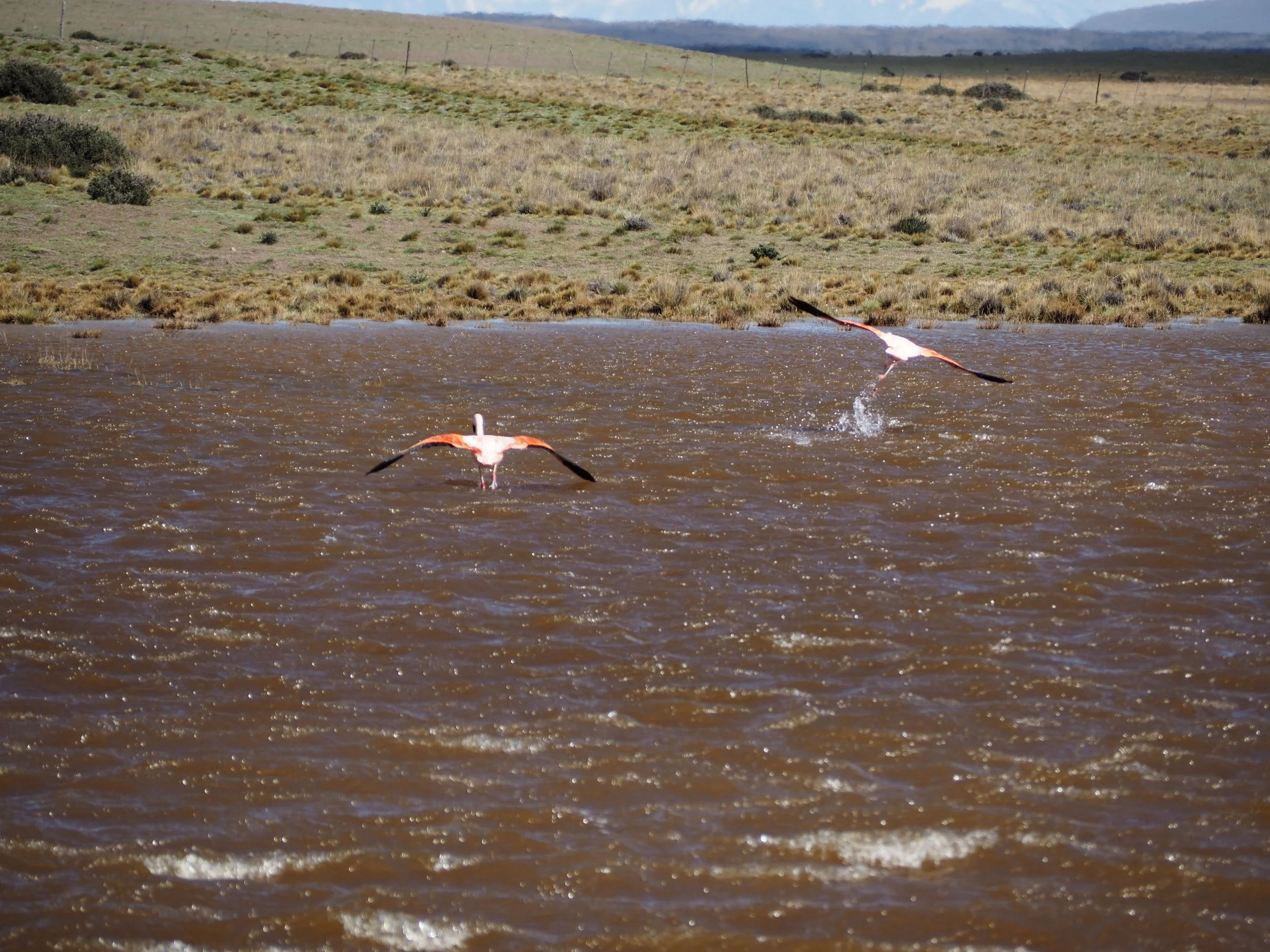 PA205455.JPG