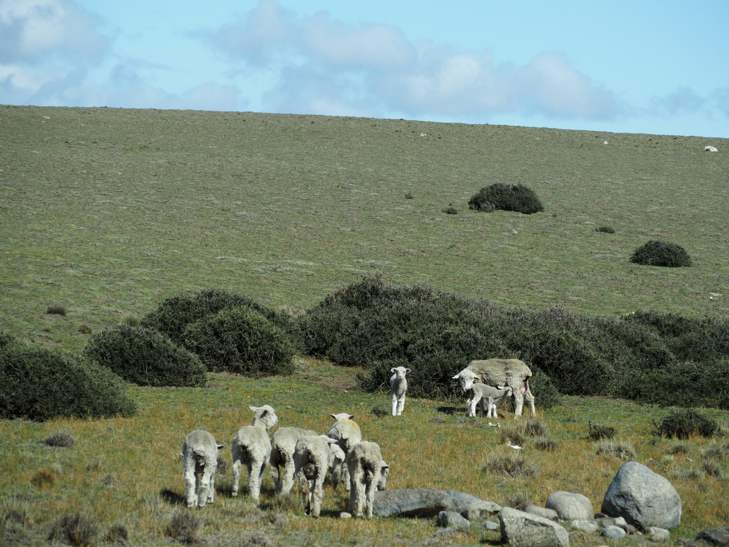 PA205463.JPG